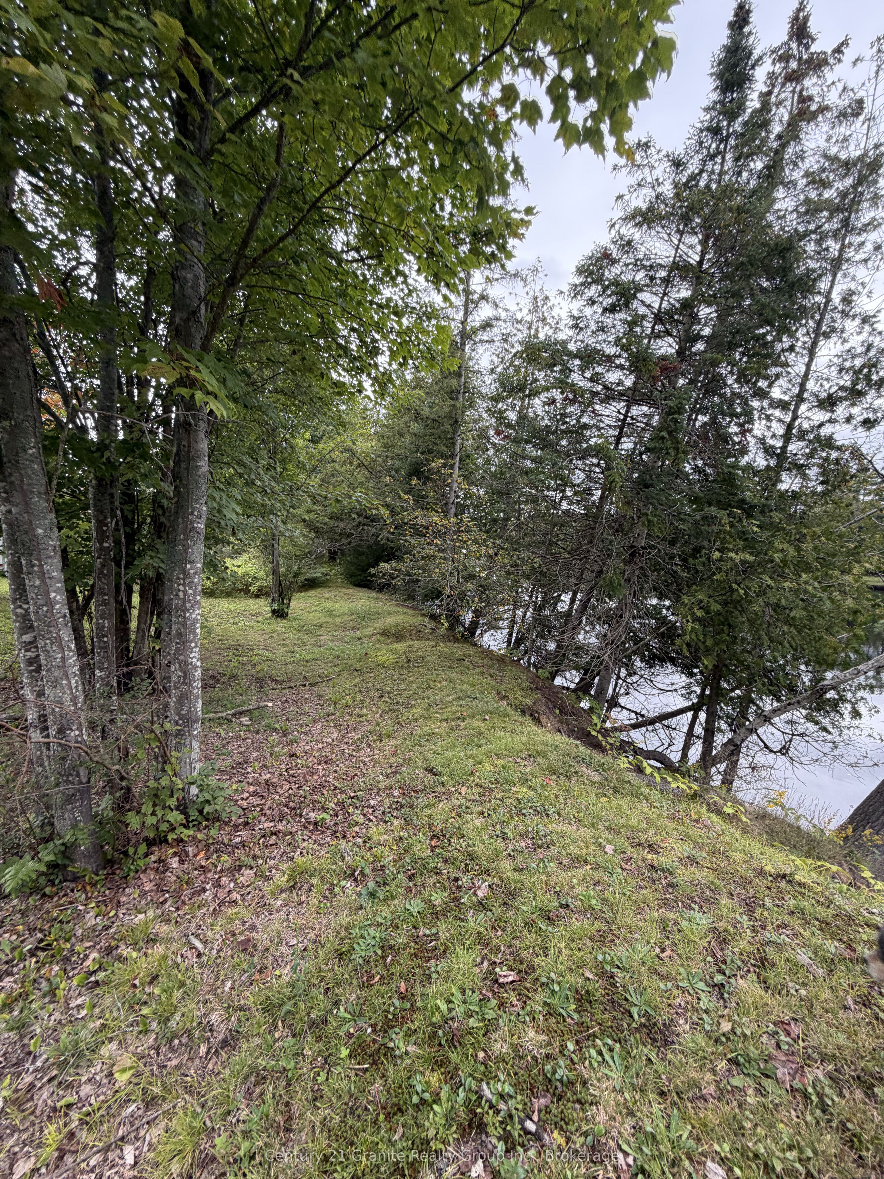 000 Evergreen Lane Property Photo 16