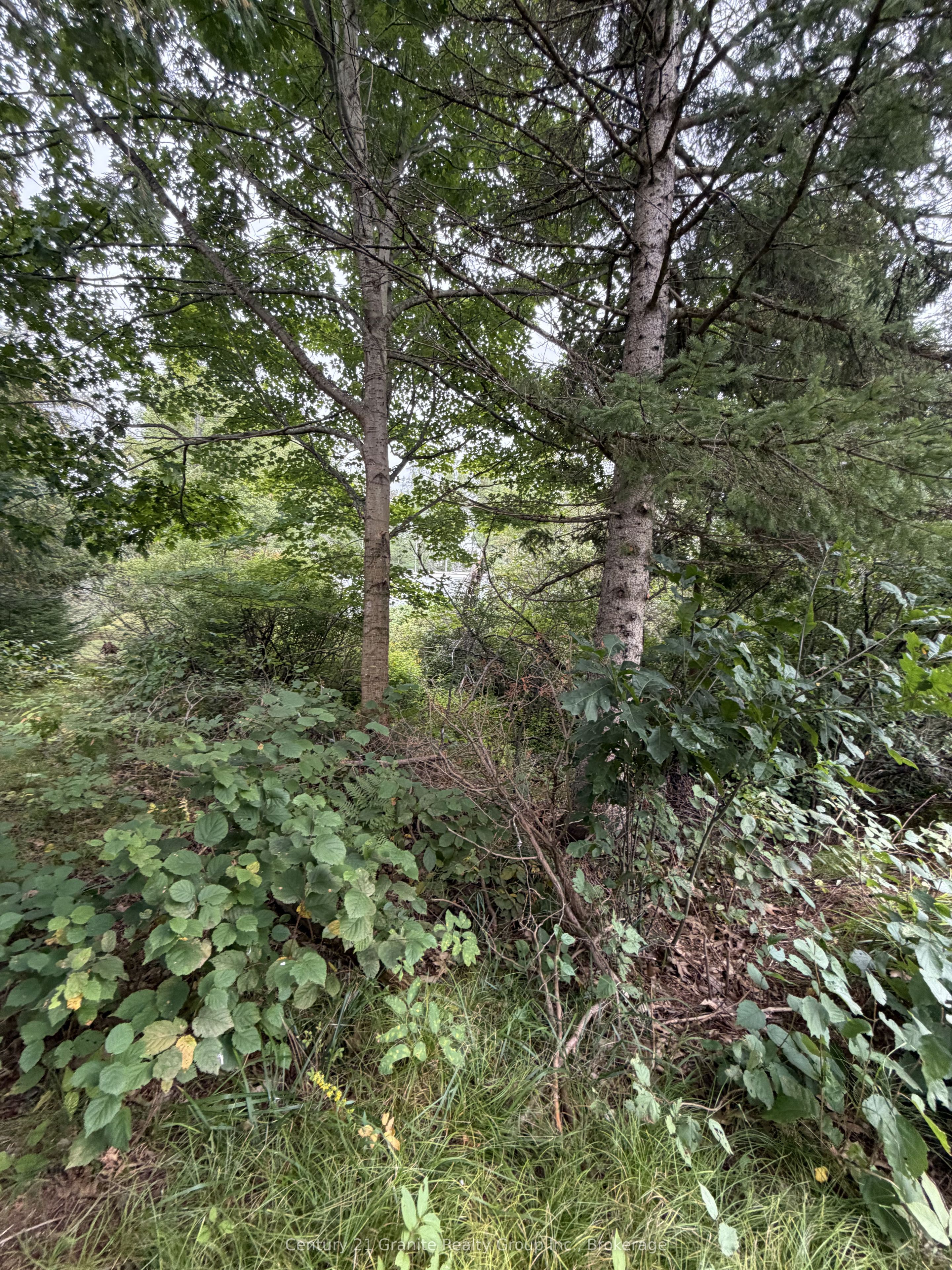 000 Evergreen Lane Property Photo 18