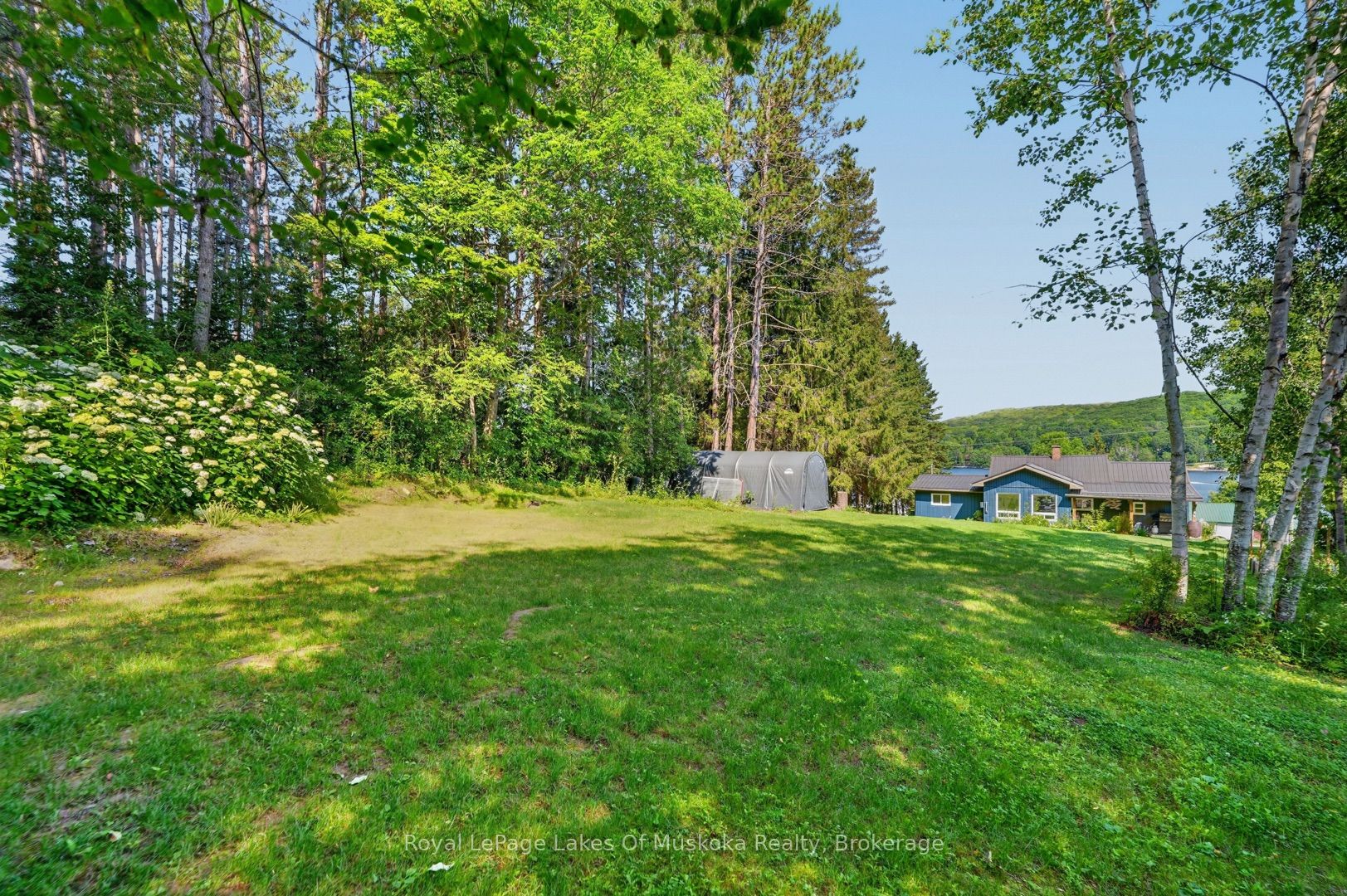 305 Doe Lake Road Property Photo 22