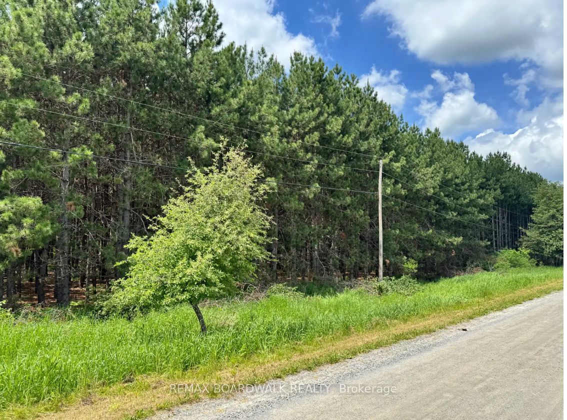 1161 Rosetta Road Property Photo 1