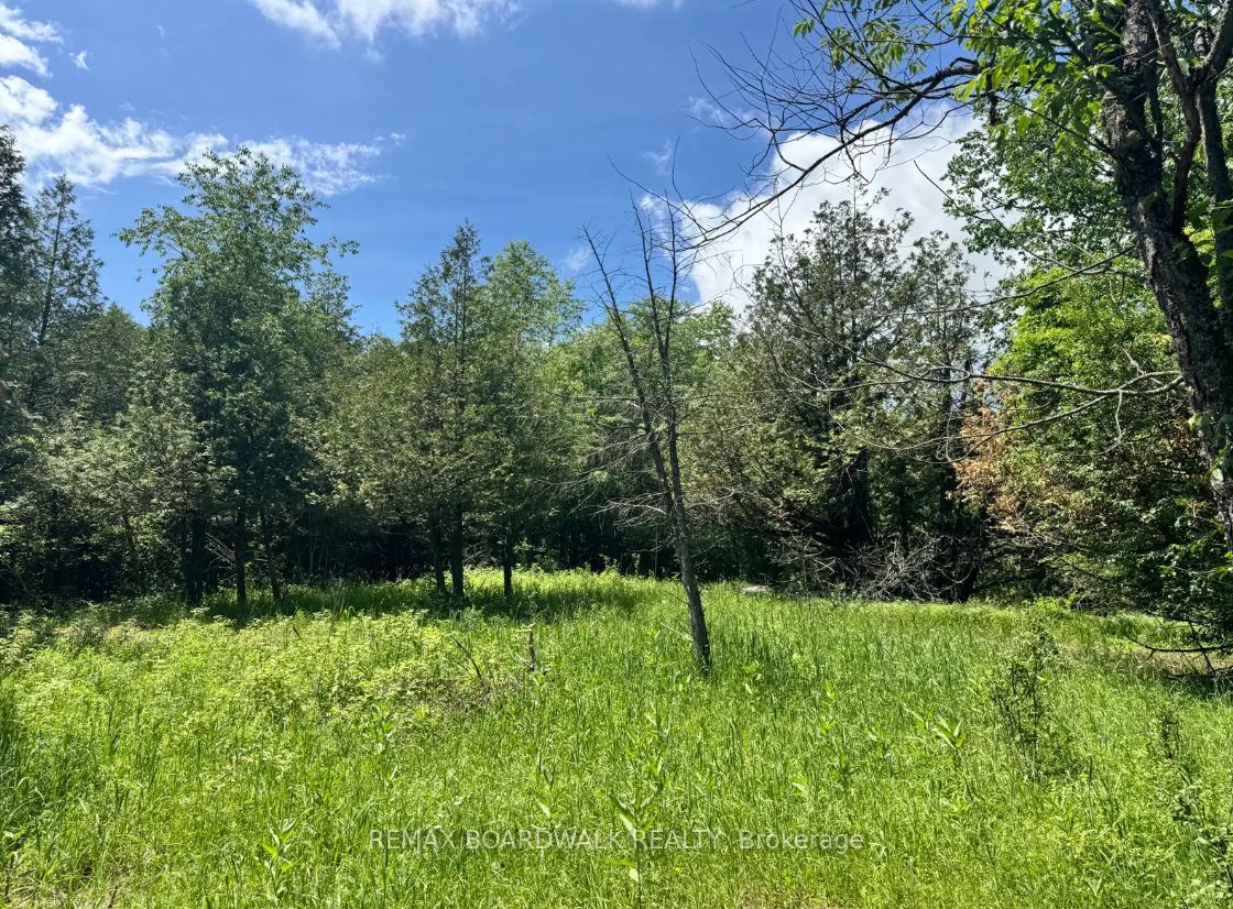 1161 Rosetta Road Property Photo 2