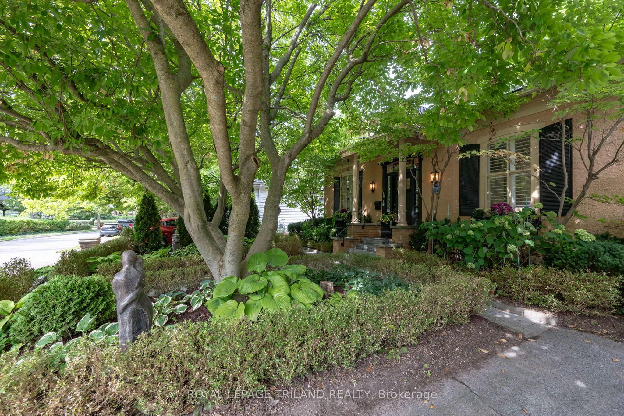 126 Sydenham Street Property Photo 6
