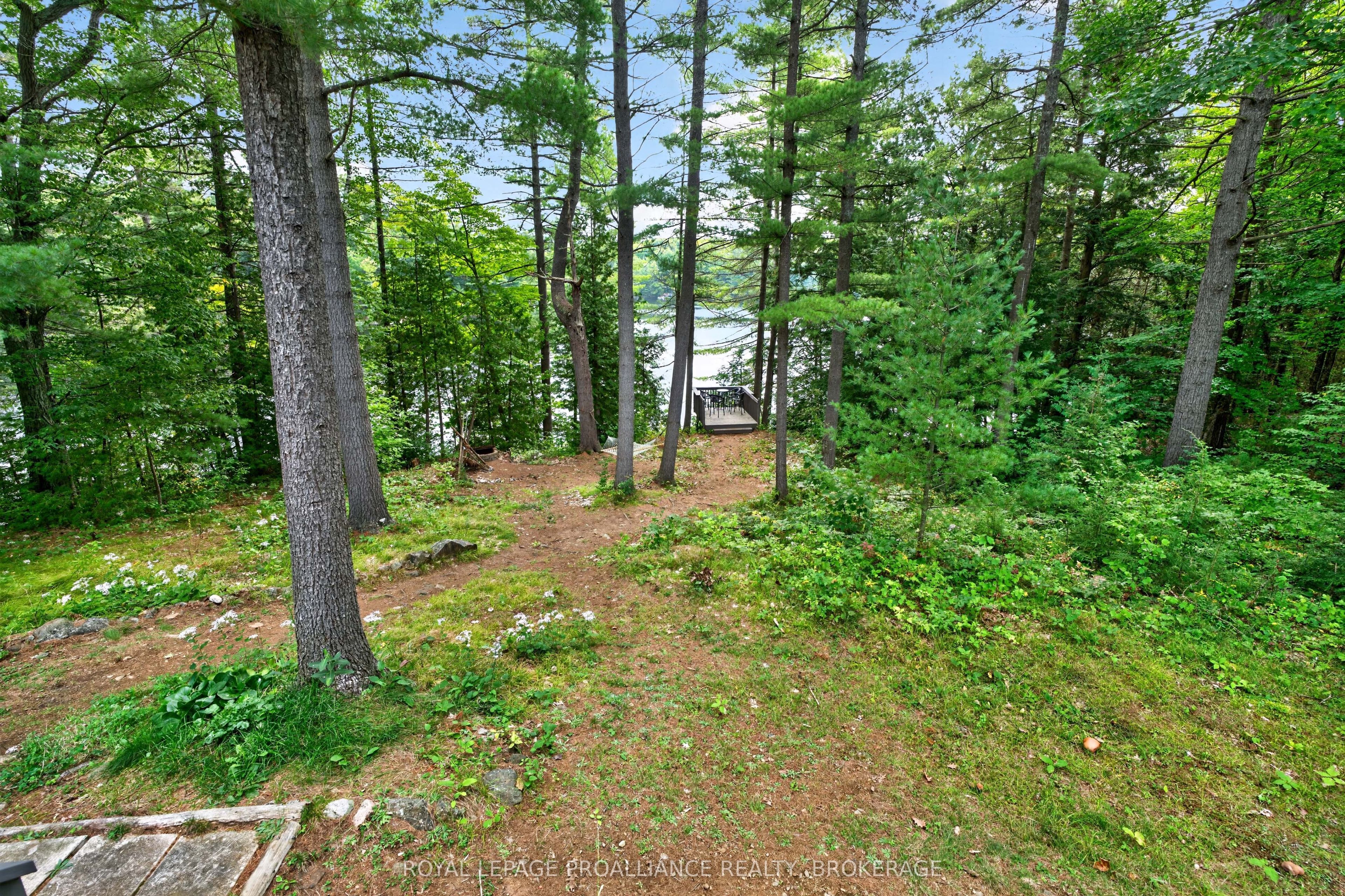 1187 Louden Lane Property Photo 12