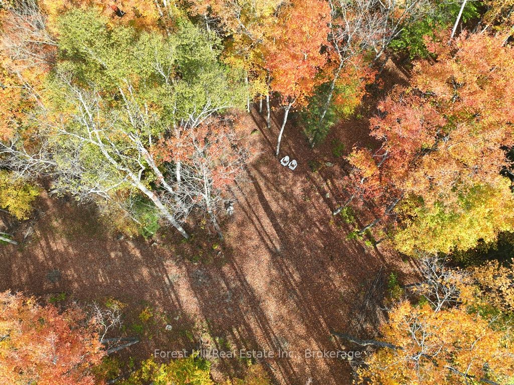 4488 Kawagama Lake Road Property Photo 1