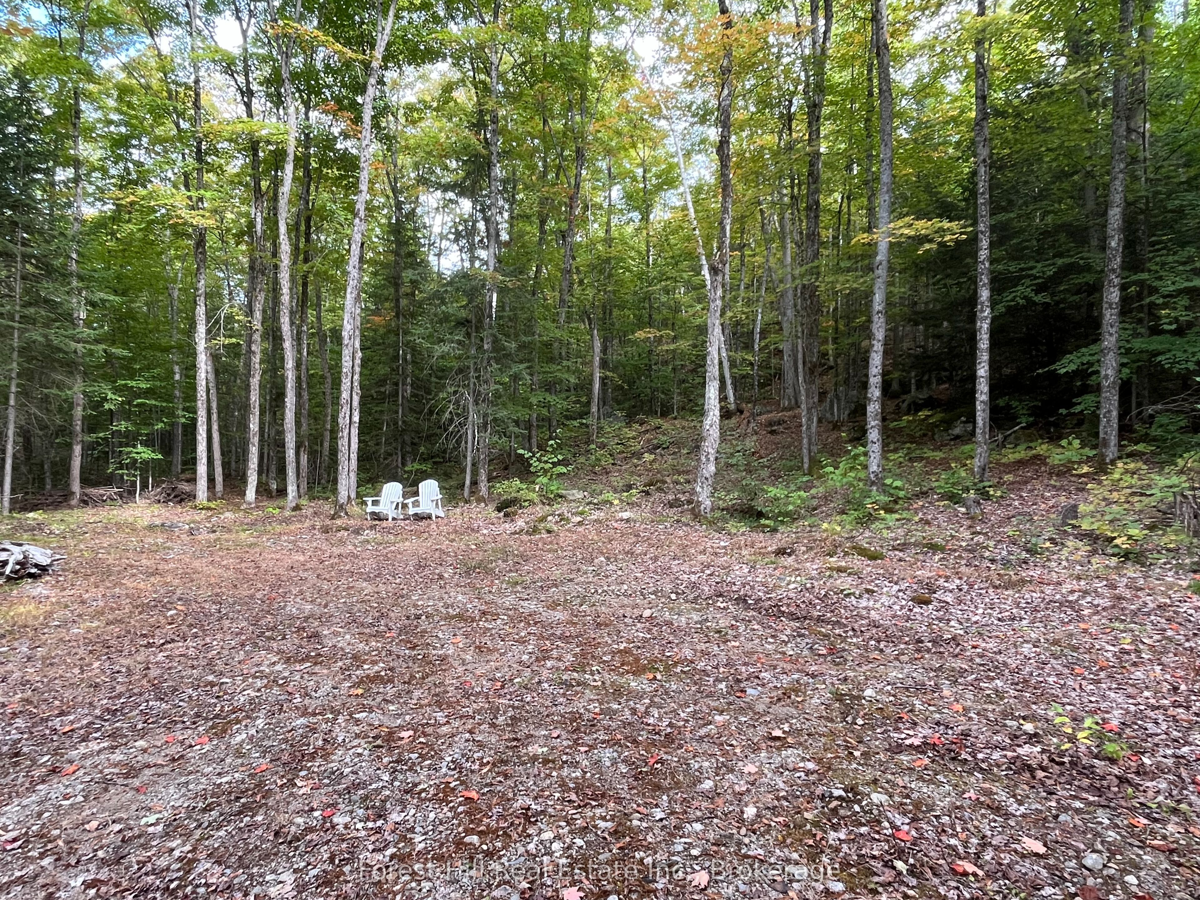 4488 Kawagama Lake Road Property Photo 2