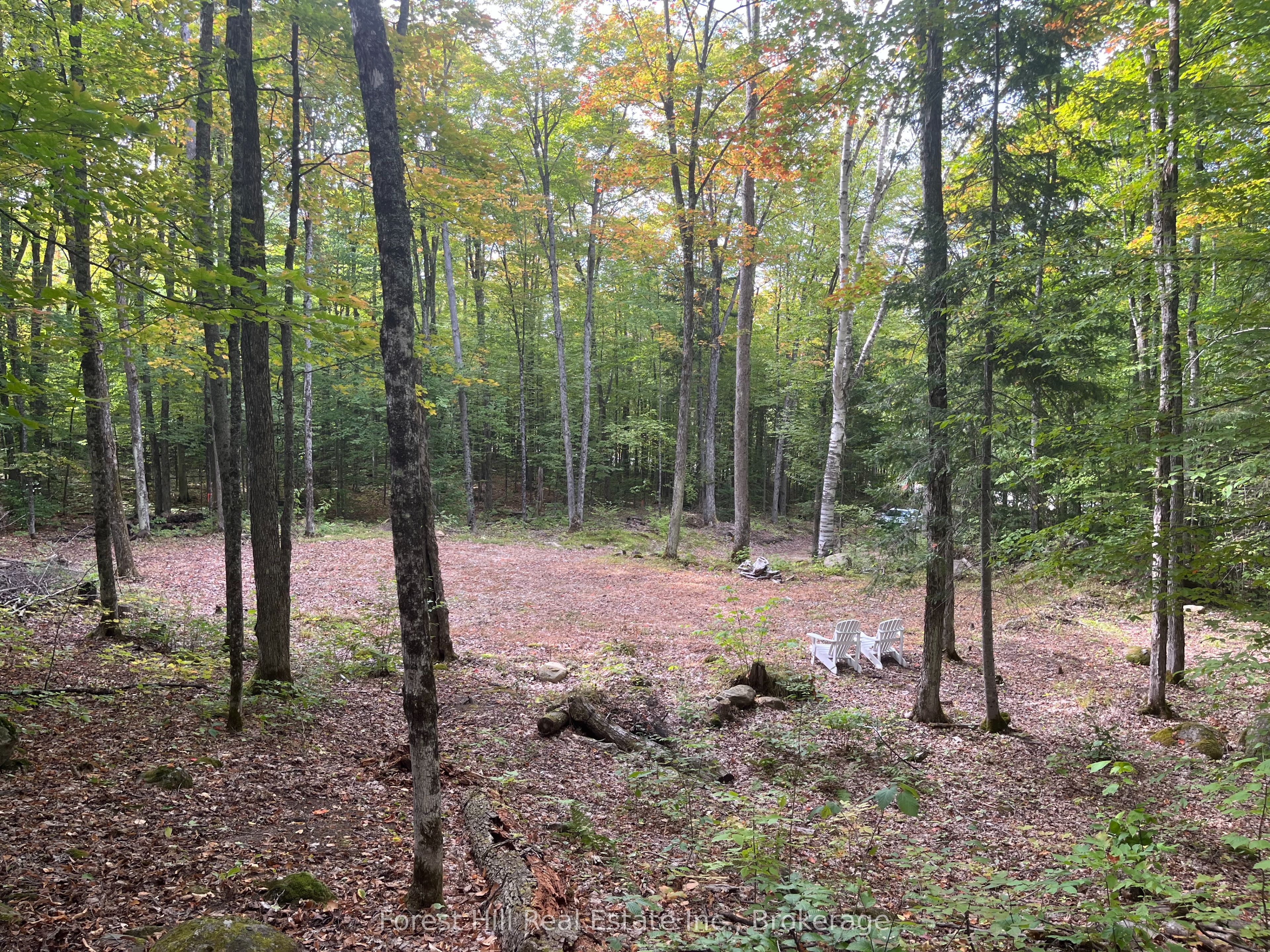 4488 Kawagama Lake Road Property Photo 4