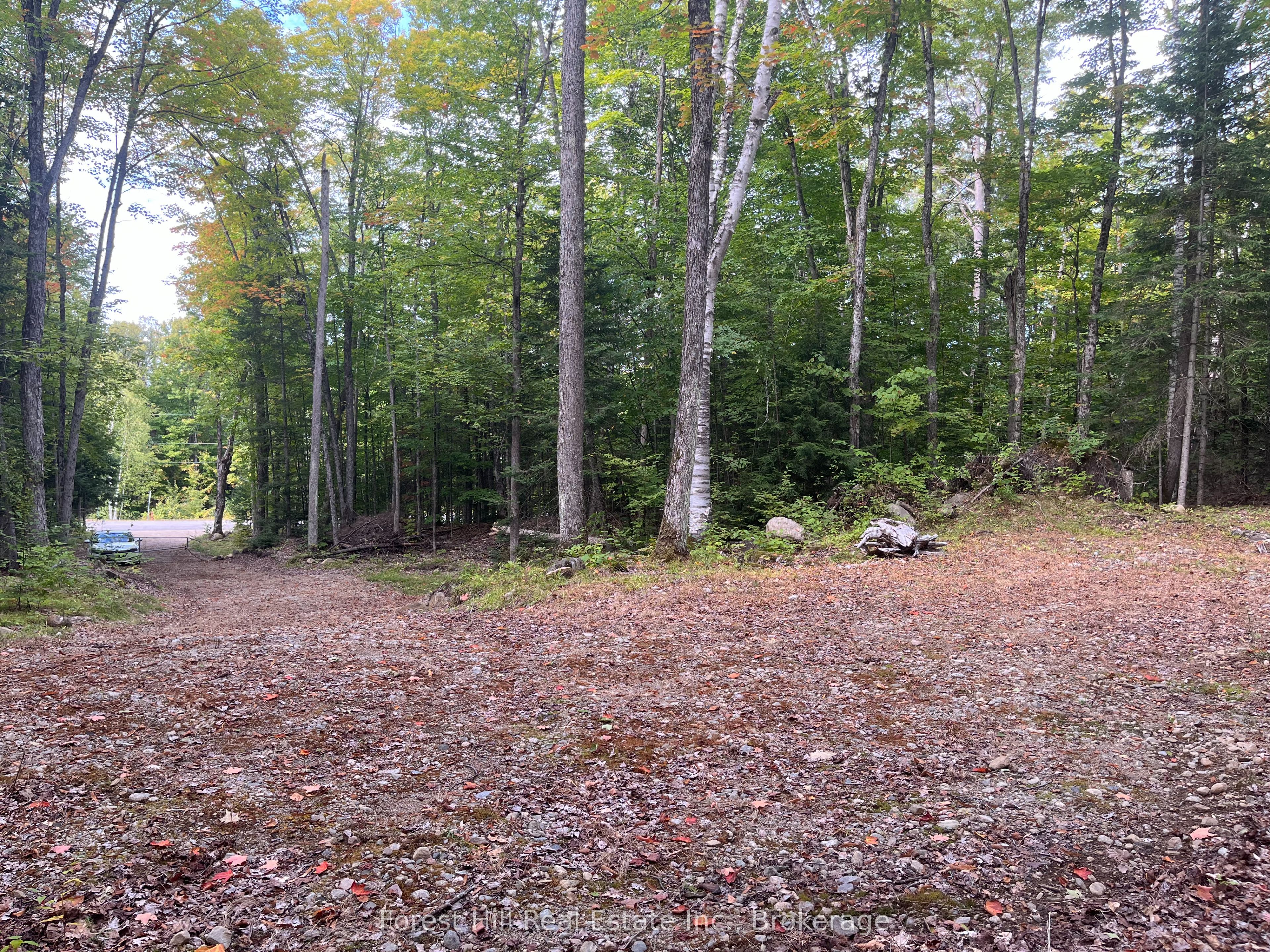 4488 Kawagama Lake Road Property Photo 6