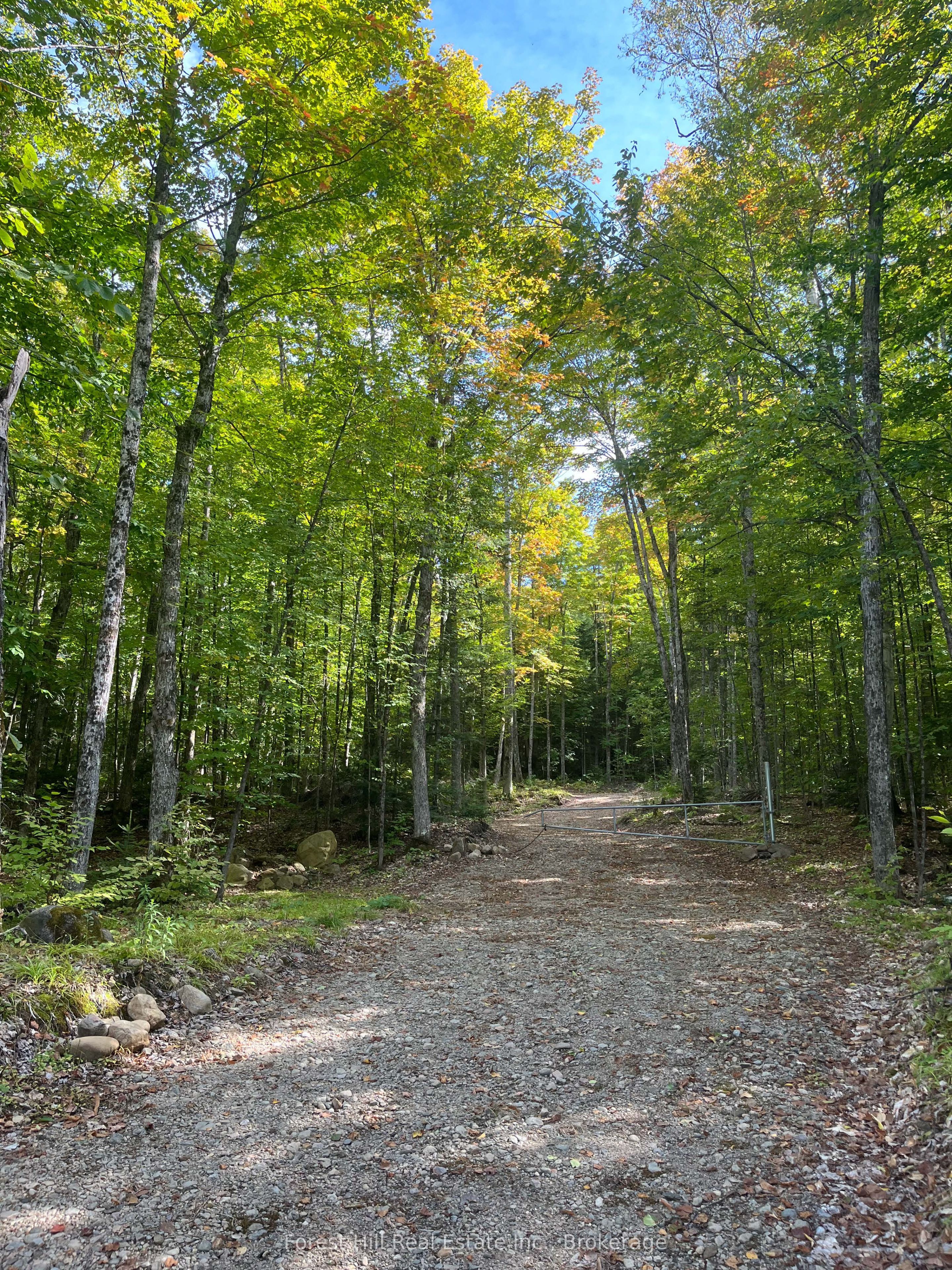 4488 Kawagama Lake Road Property Photo 7