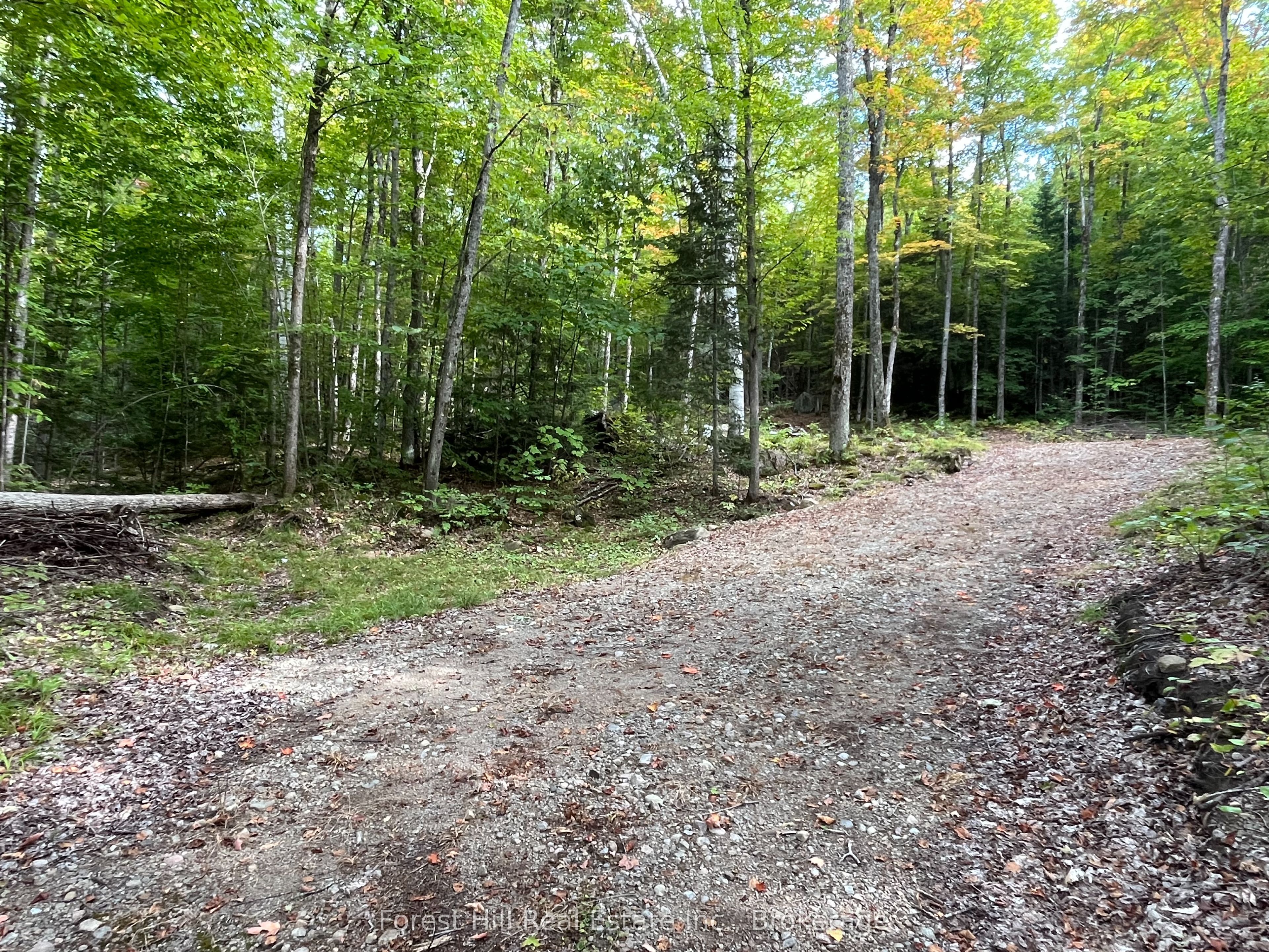4488 Kawagama Lake Road Property Photo 8