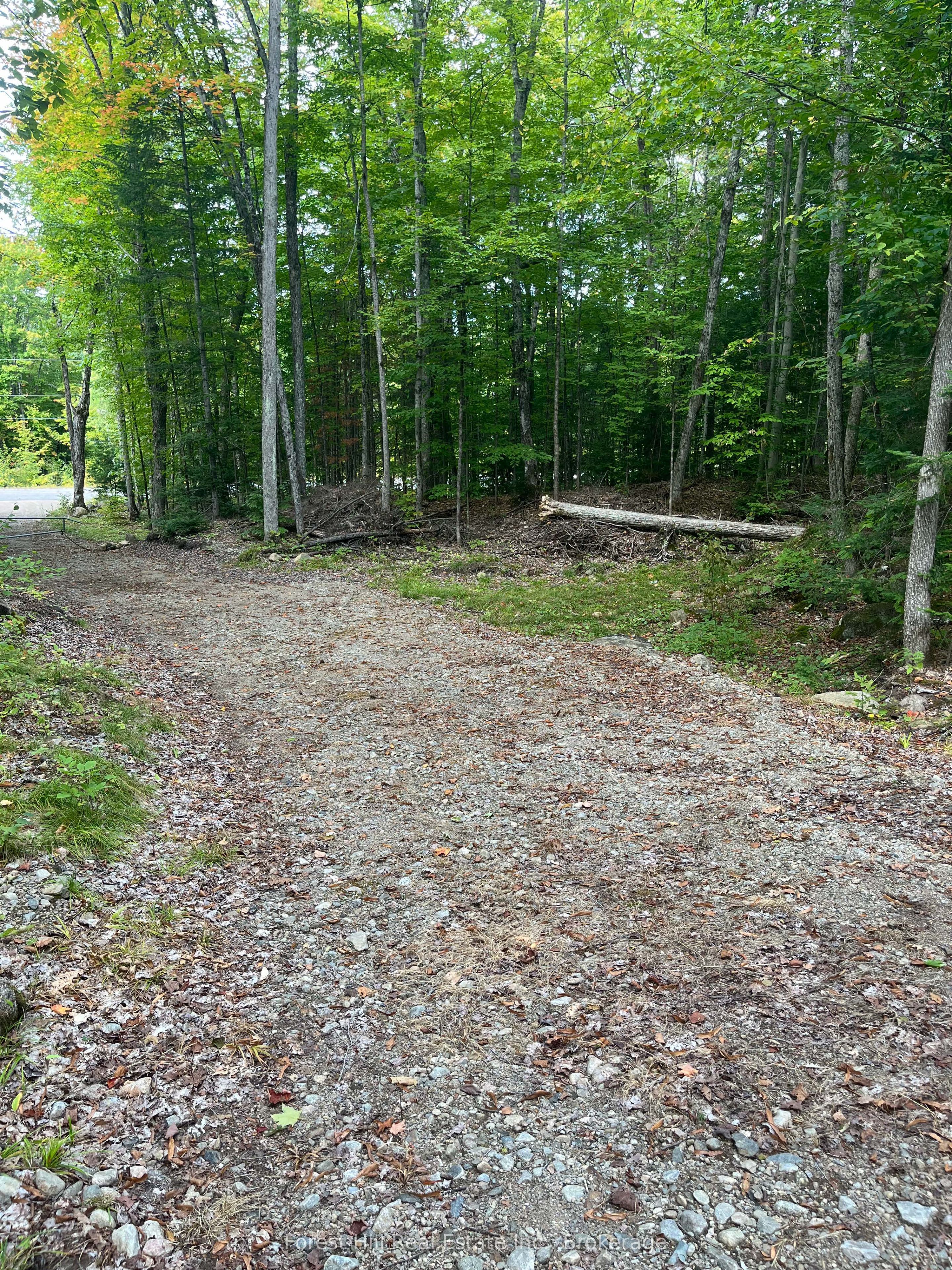 4488 Kawagama Lake Road Property Photo 9