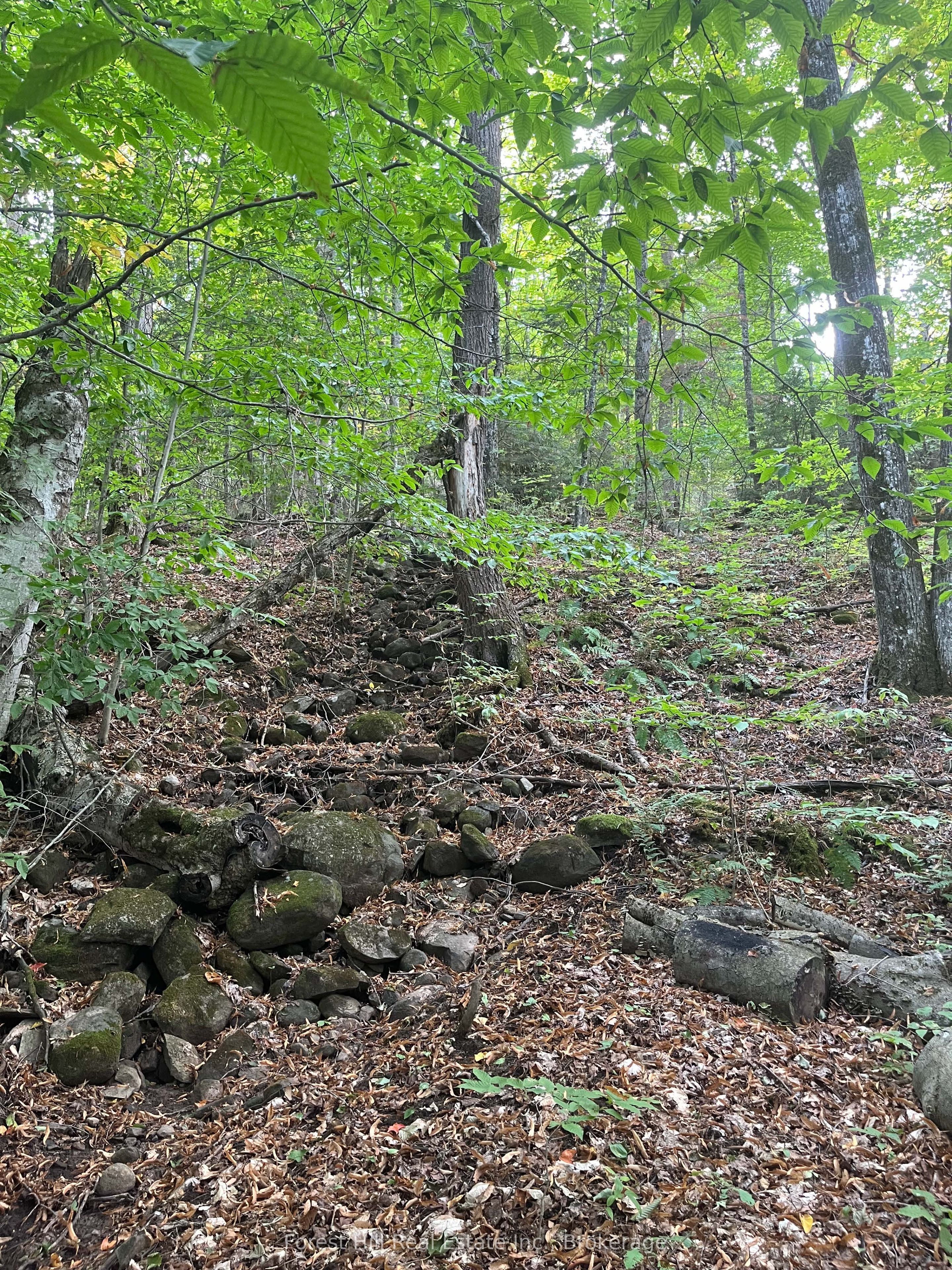 4488 Kawagama Lake Road Property Photo 11