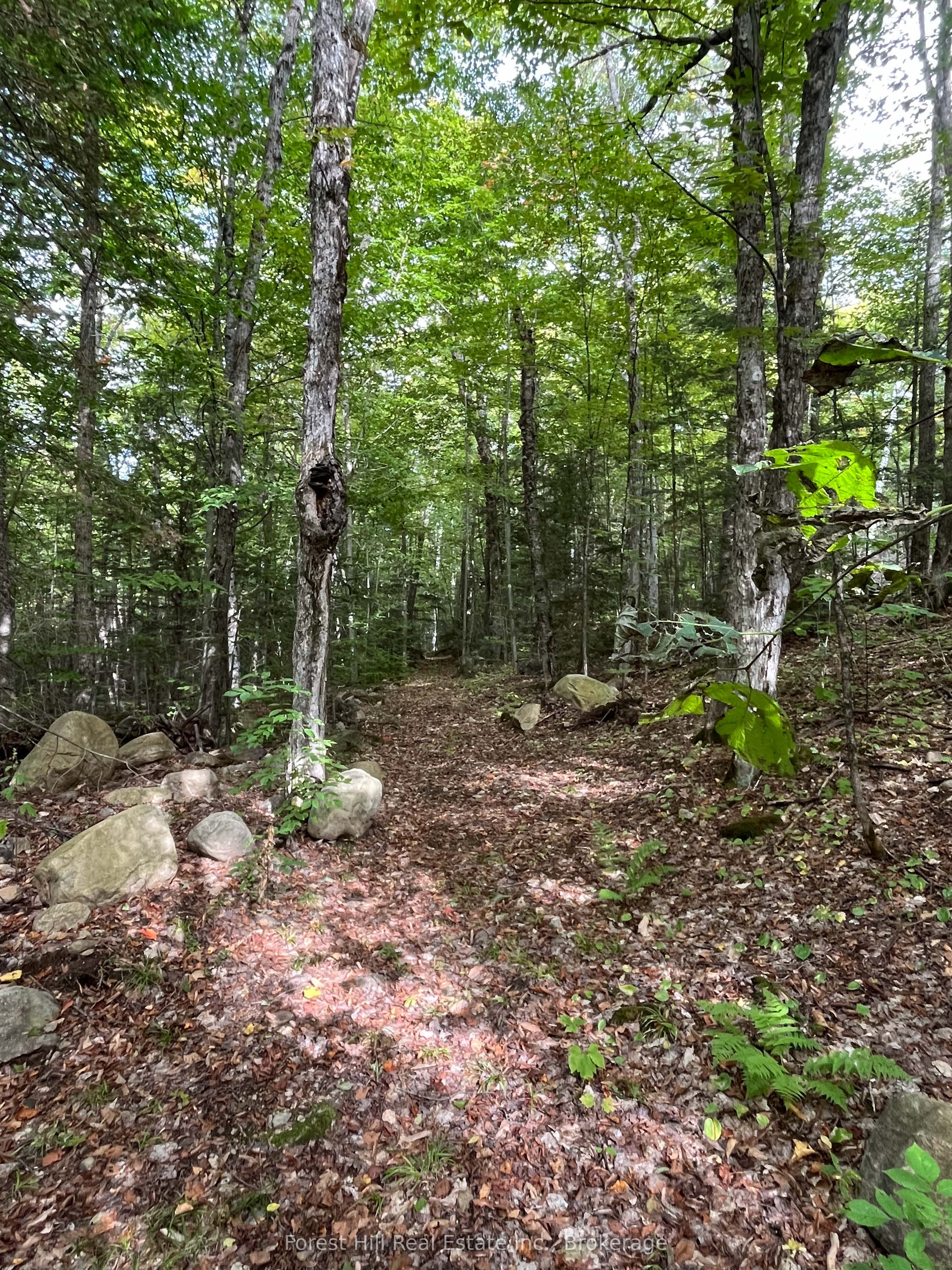 4488 Kawagama Lake Road Property Photo 13