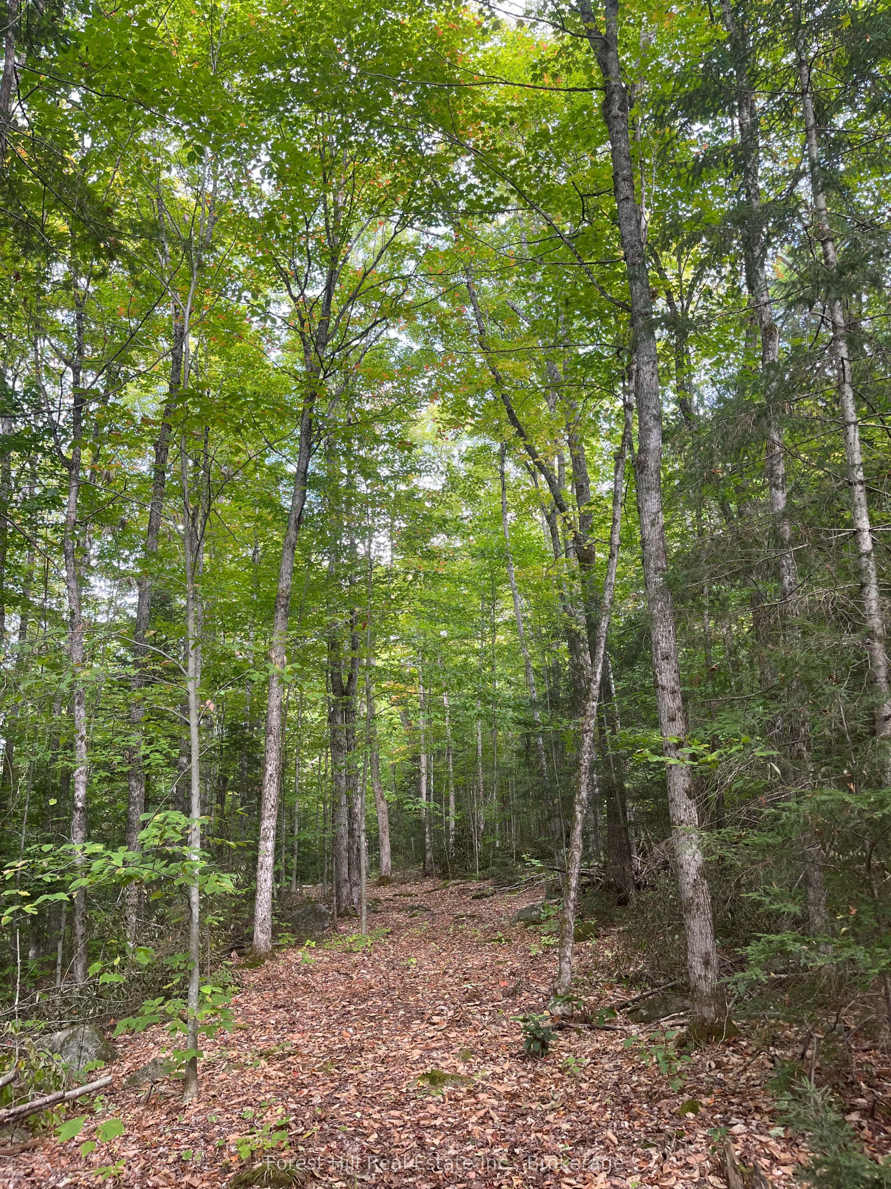 4488 Kawagama Lake Road Property Photo 14