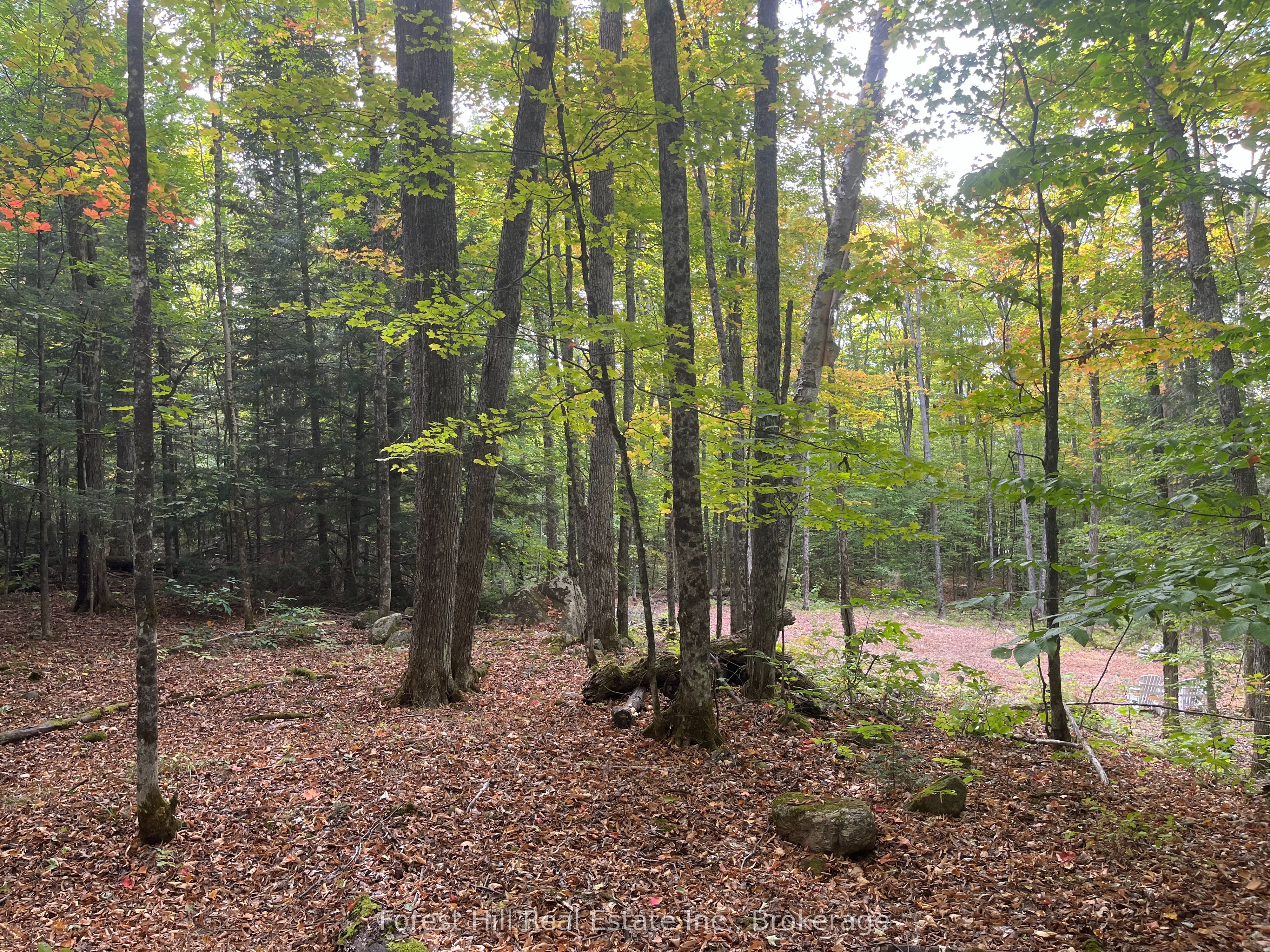 4488 Kawagama Lake Road Property Photo 17