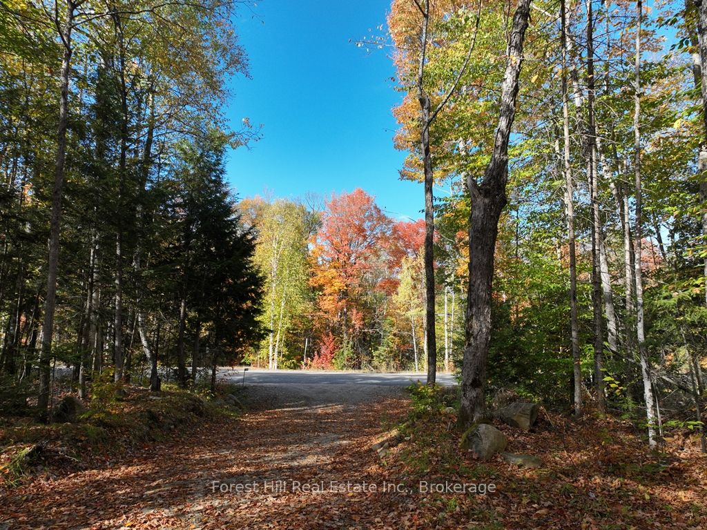 4488 Kawagama Lake Road Property Photo 19