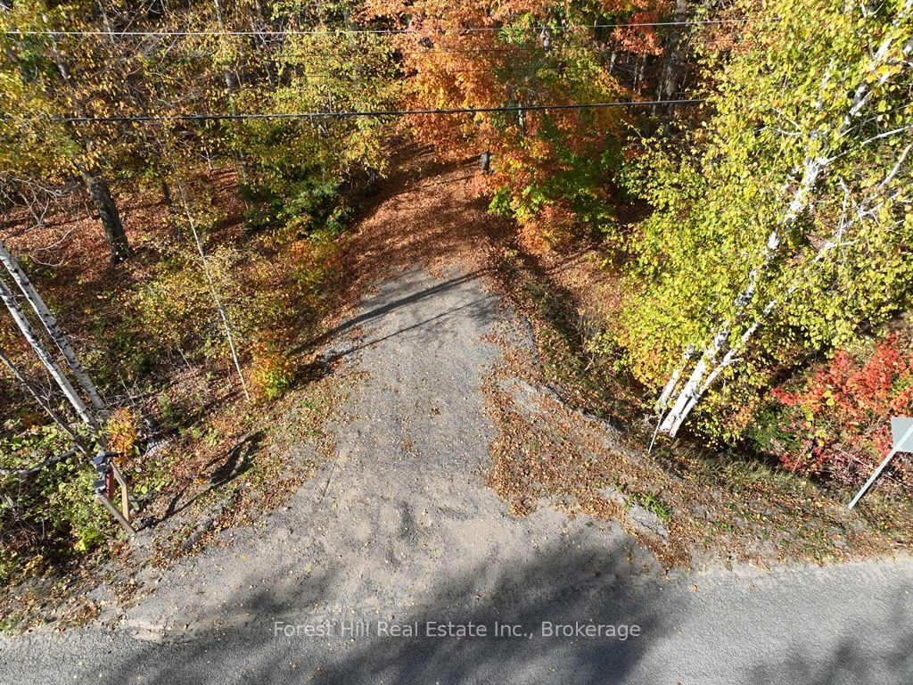 4488 Kawagama Lake Road Property Photo 22
