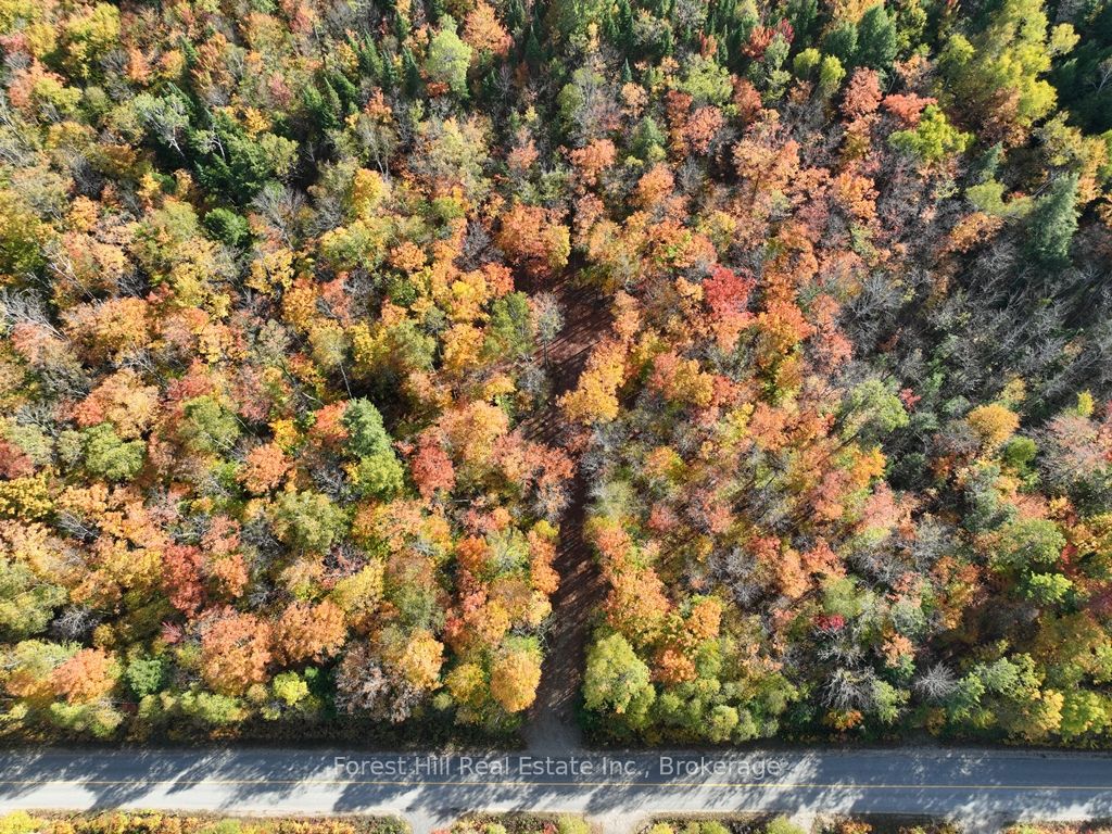 4488 Kawagama Lake Road Property Photo 28