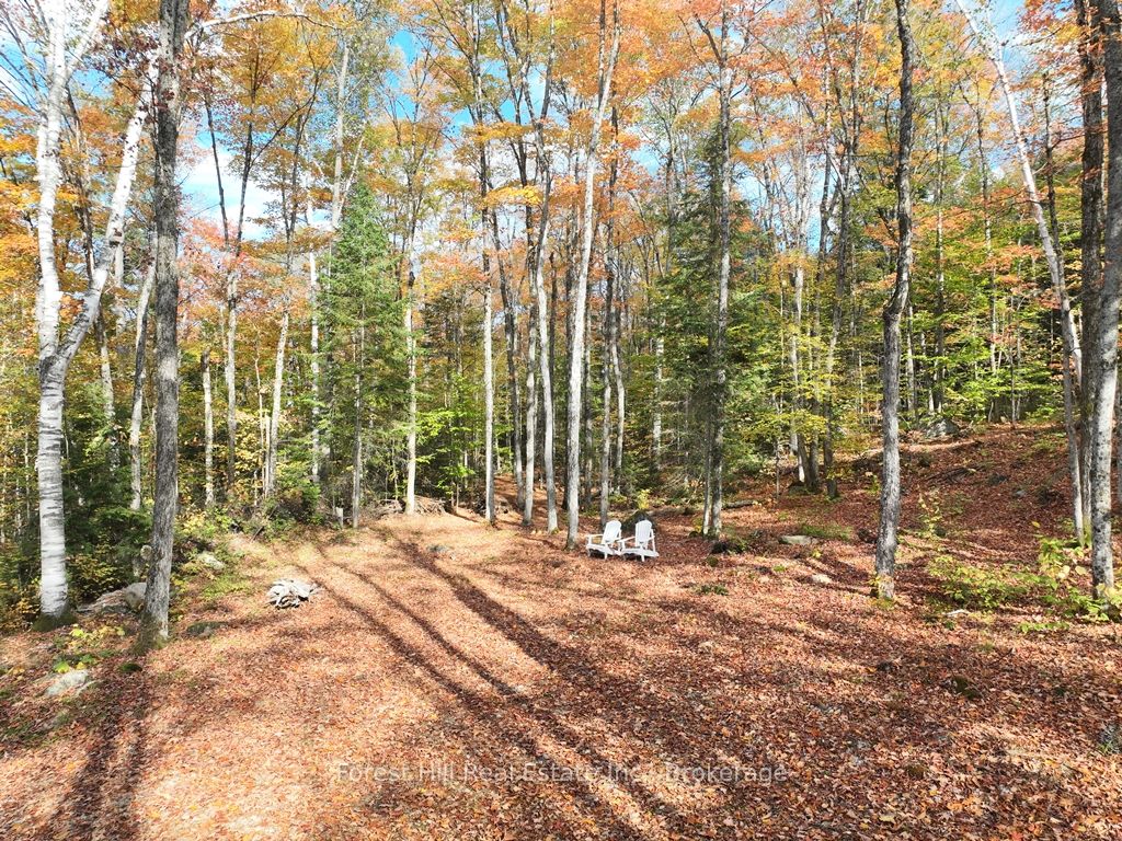 4488 Kawagama Lake Road Property Photo 42