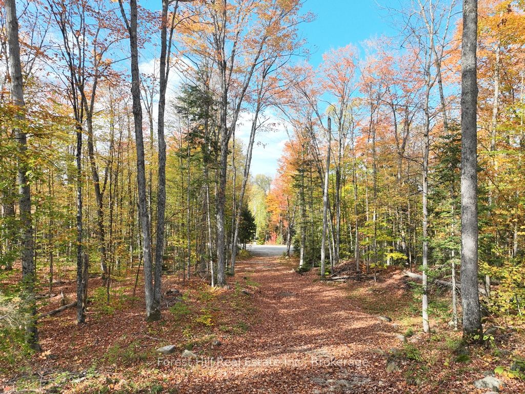 4488 Kawagama Lake Road Property Photo 43