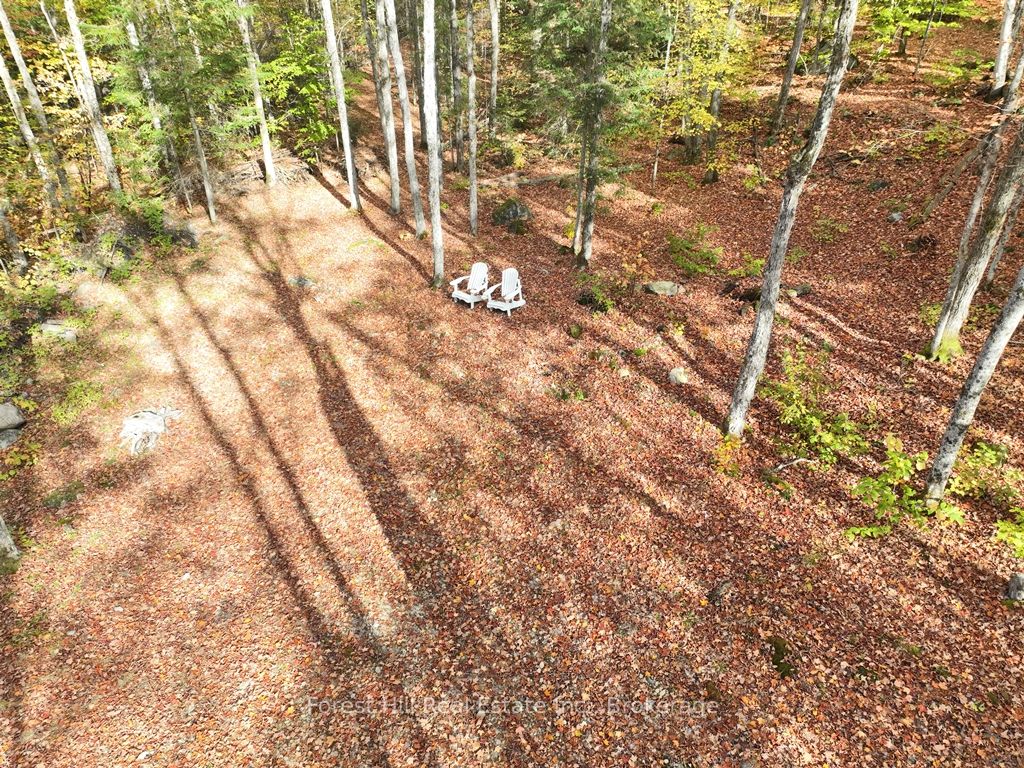 4488 Kawagama Lake Road Property Photo 46