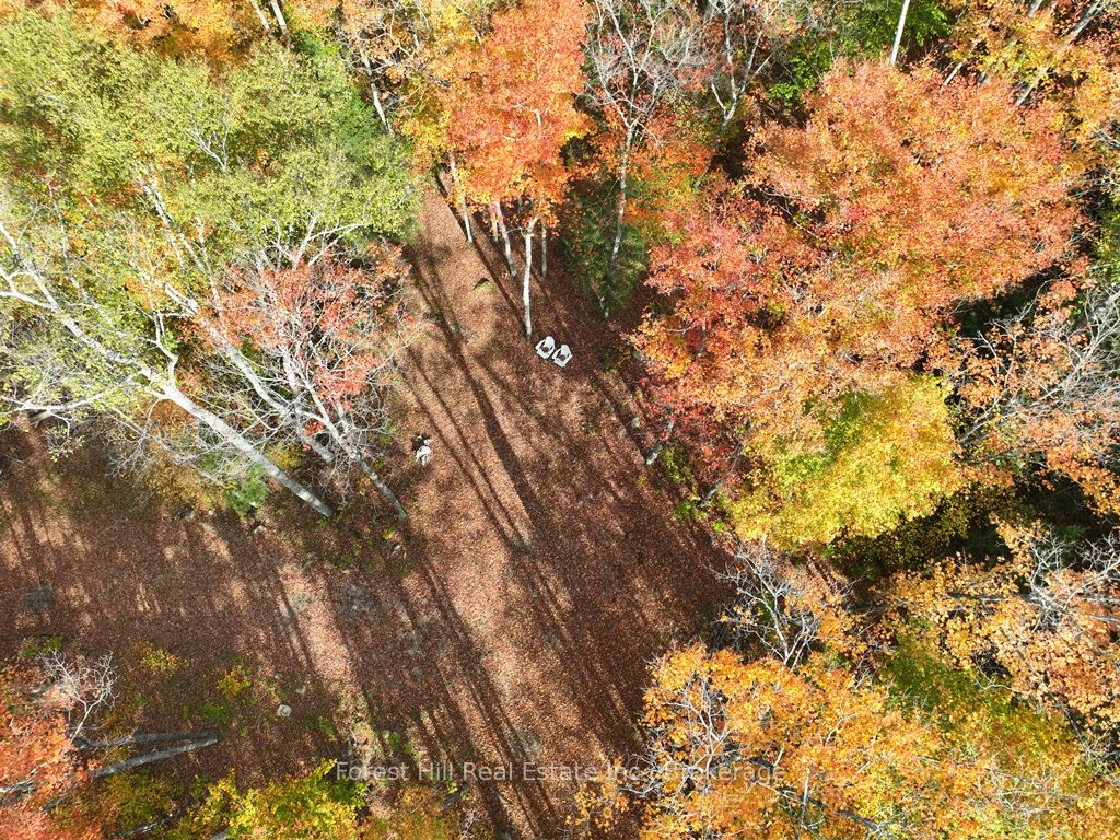 4488 Kawagama Lake Road Property Photo 47