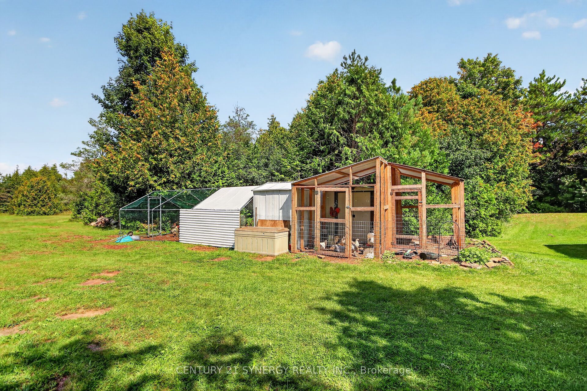 496 William Campbell Road Property Photo 46