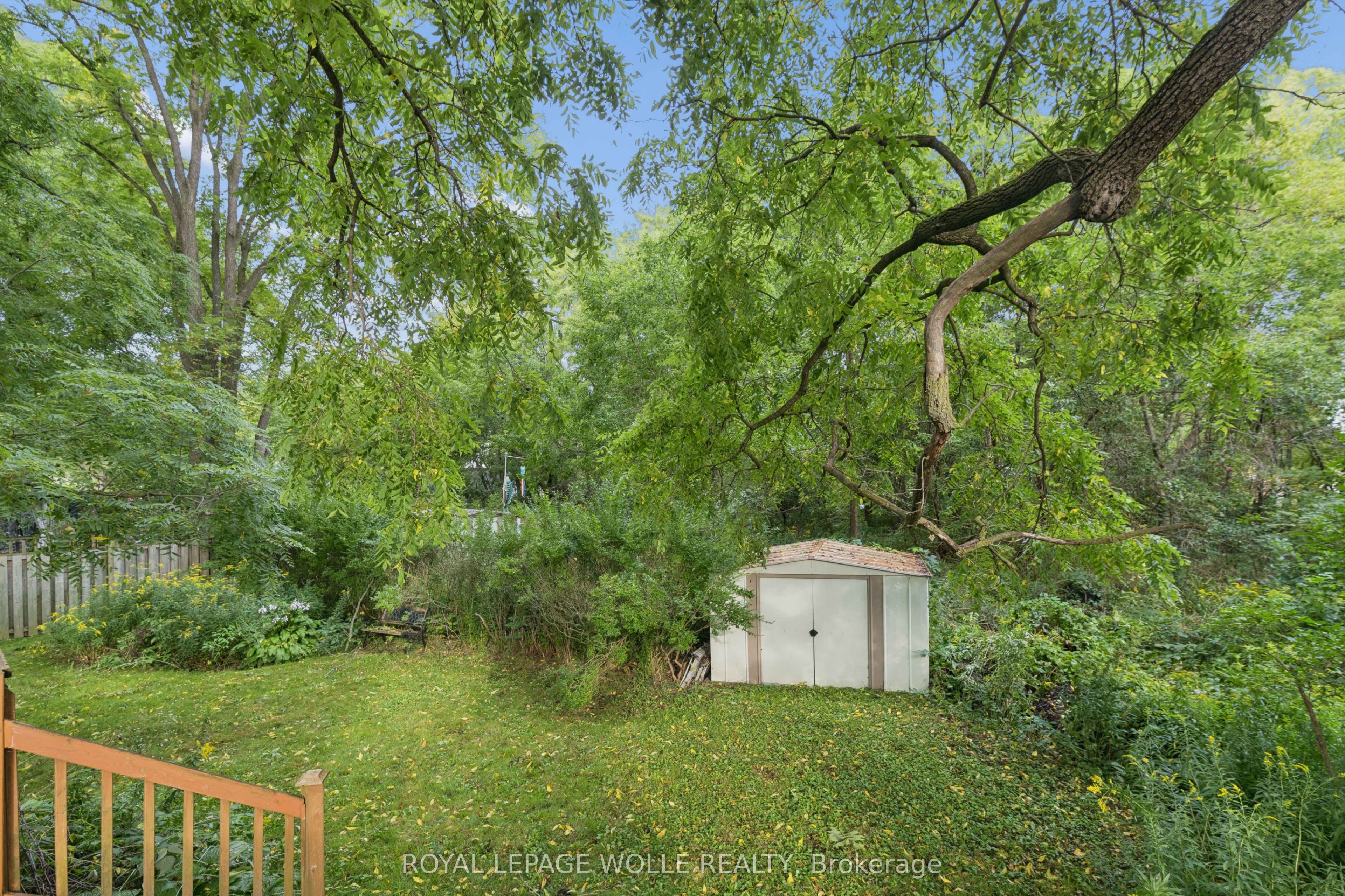 53 Capron Street Property Photo 24