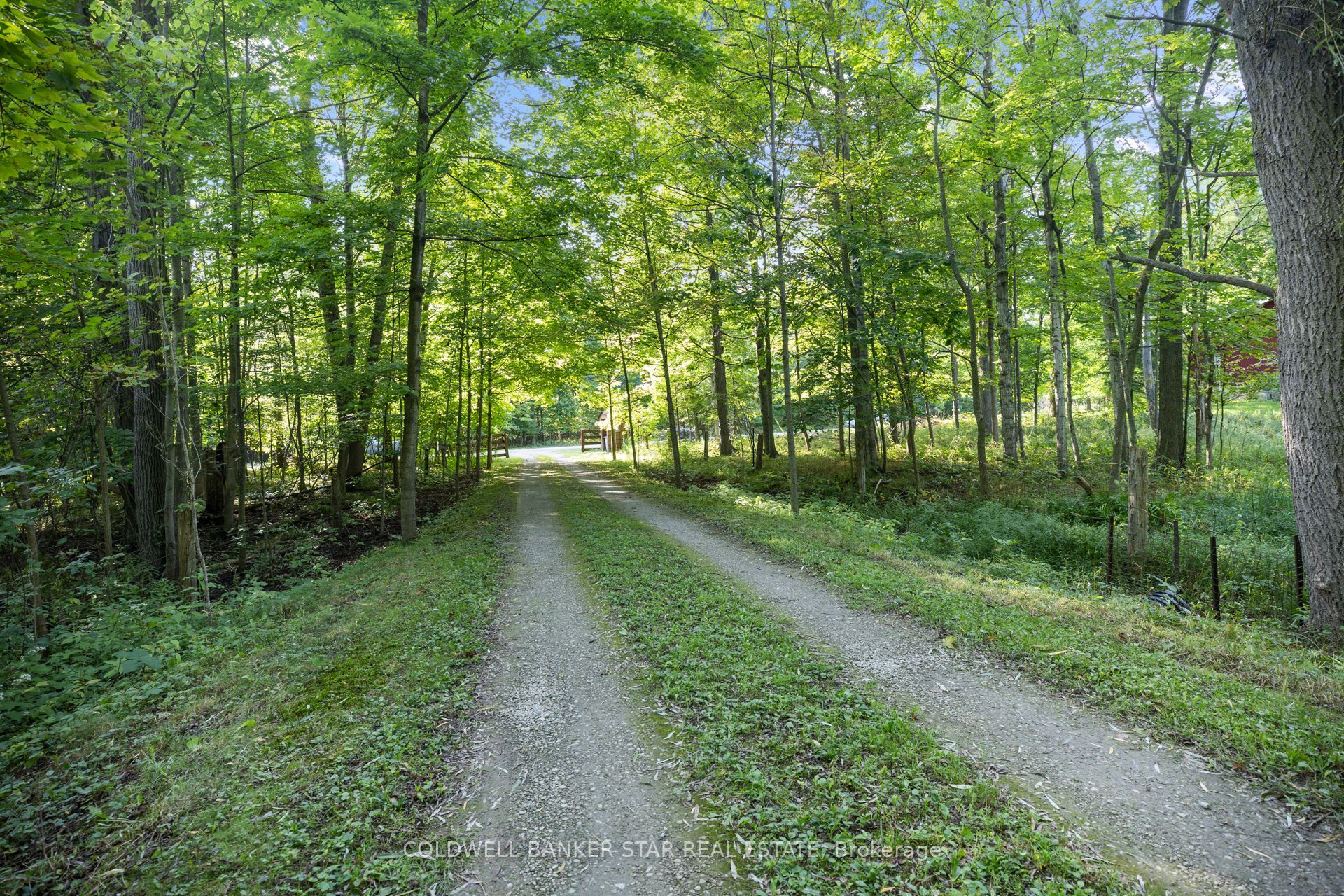 26034 Kerwood Road Property Photo 4