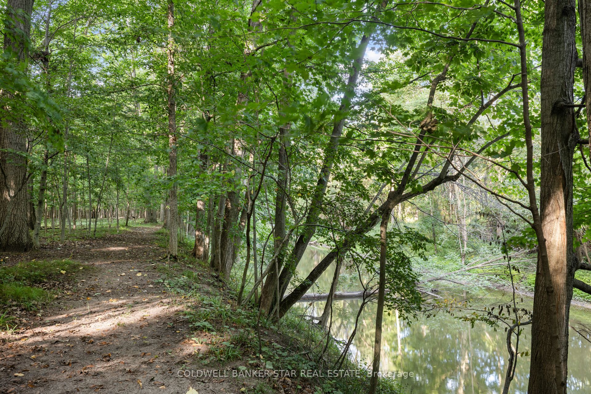 26034 Kerwood Road Property Photo 44
