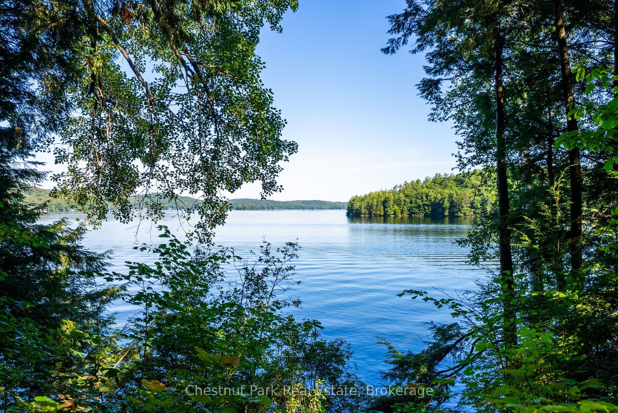 4339 Muskoka Road 117 Road Property Photo 1