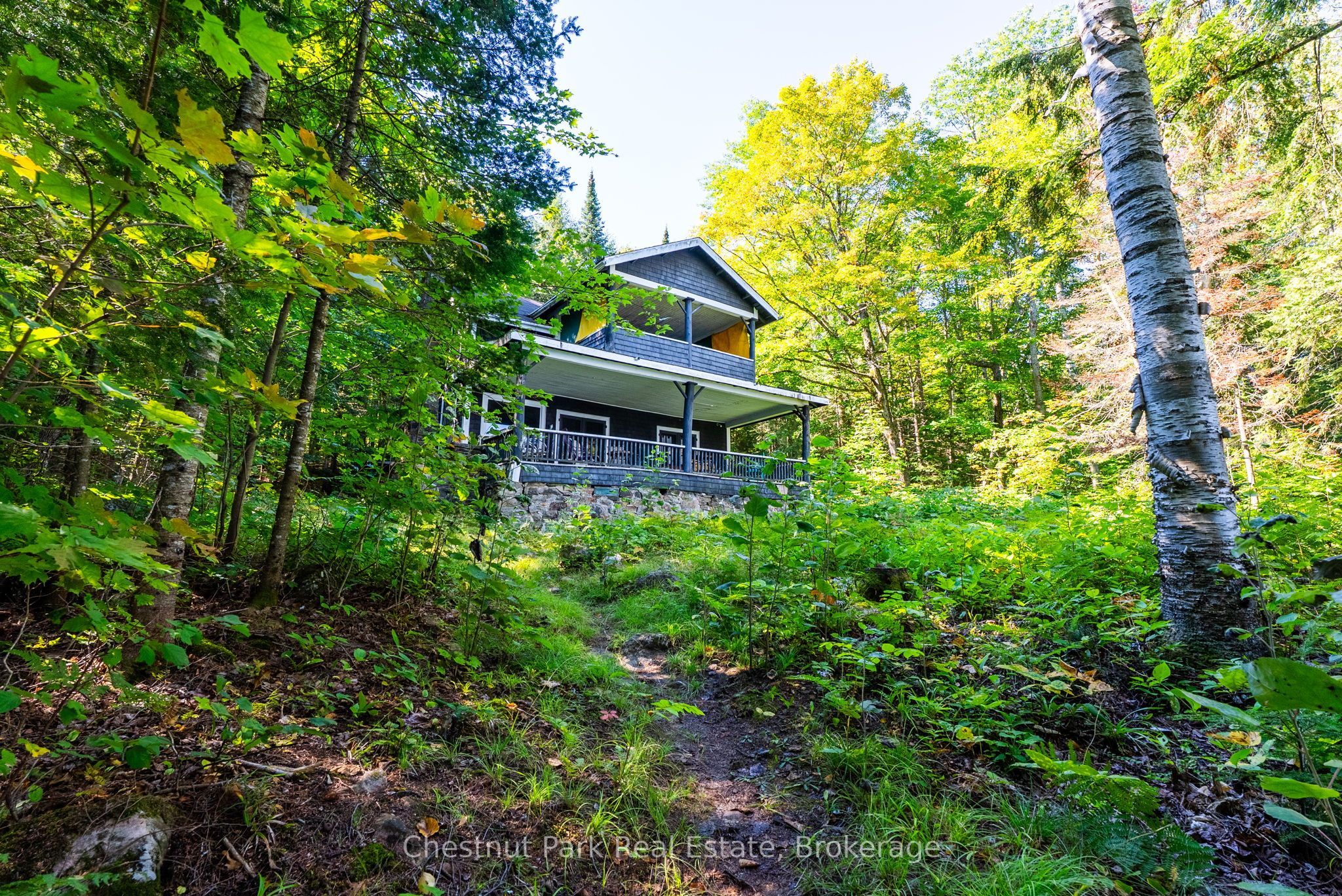 4339 Muskoka Road 117 Road Property Photo 9