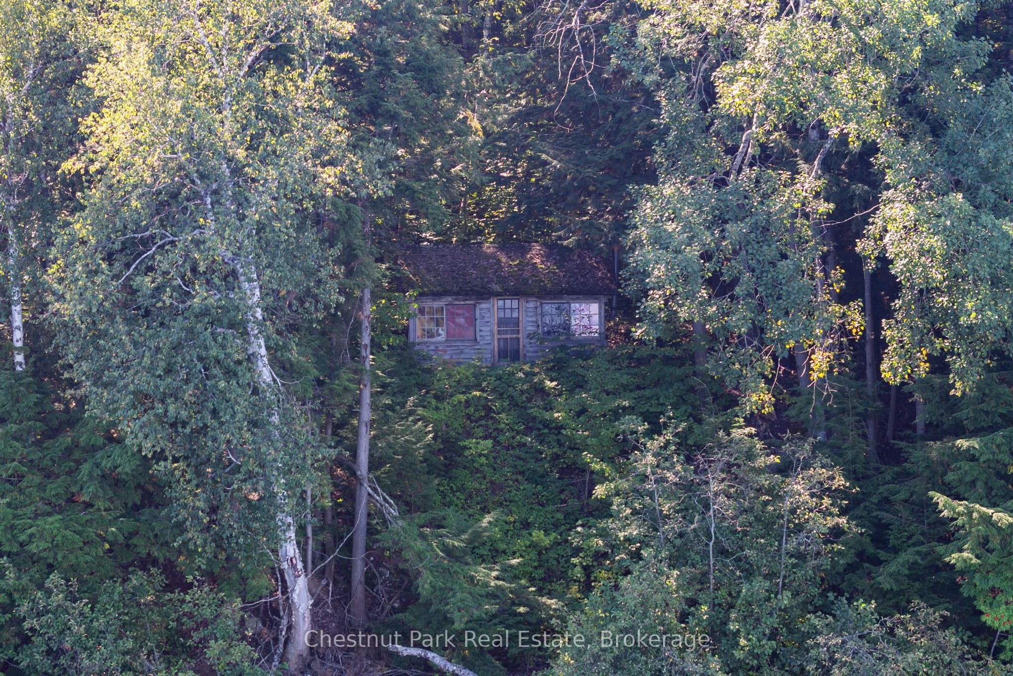 4339 Muskoka Road 117 Road Property Photo 13