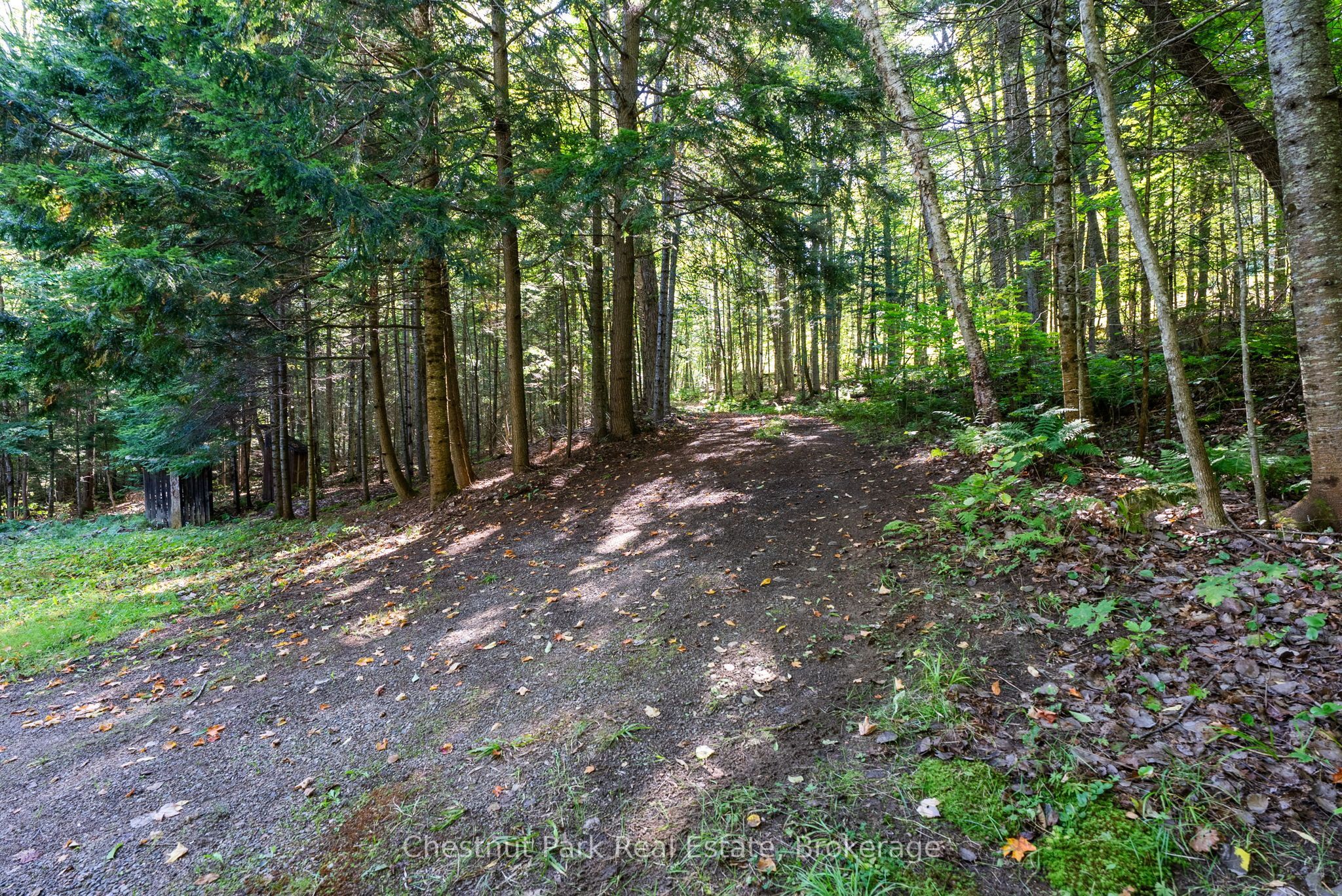 4339 Muskoka Road 117 Road Property Photo 15