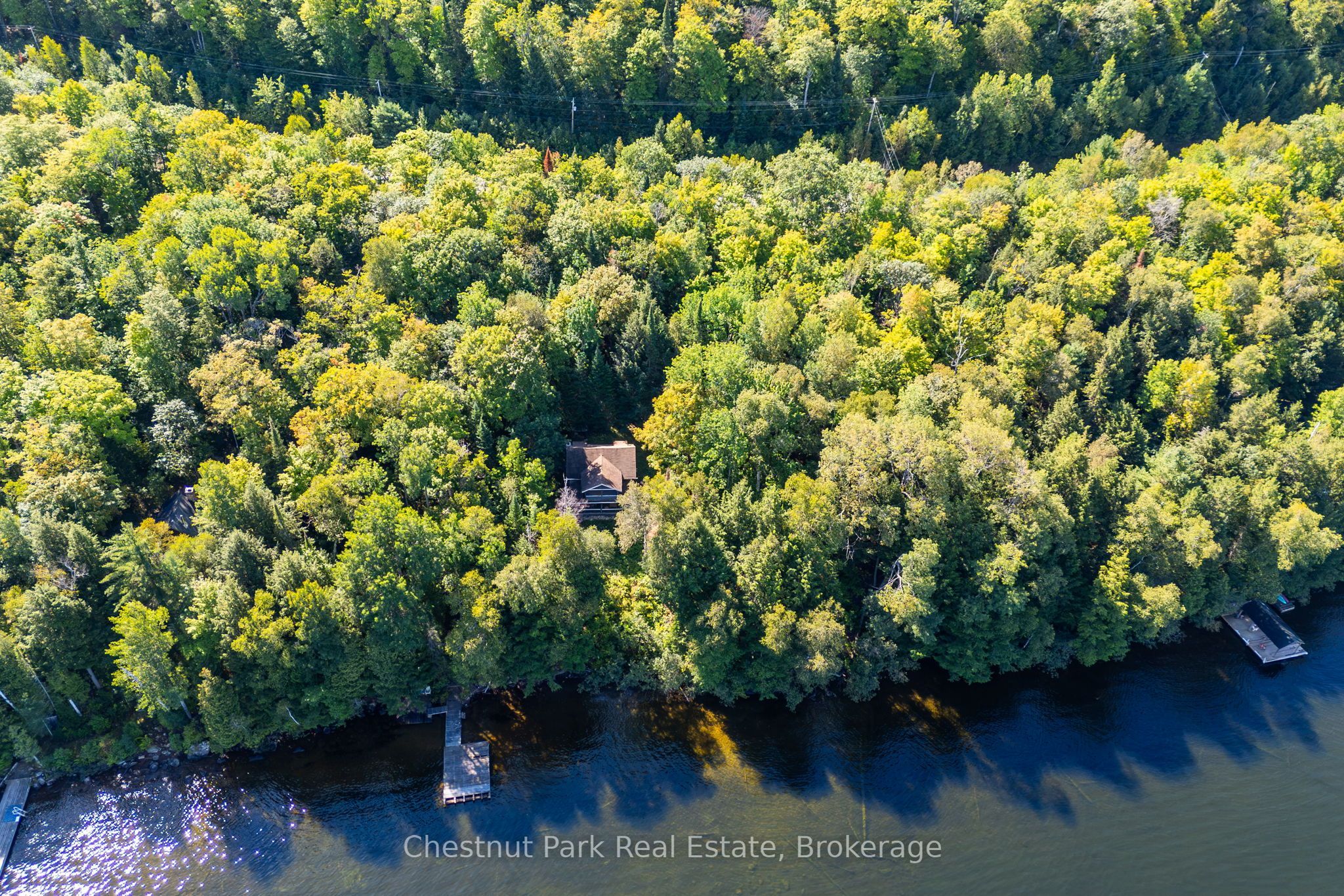 4339 Muskoka Road 117 Road Property Photo 19