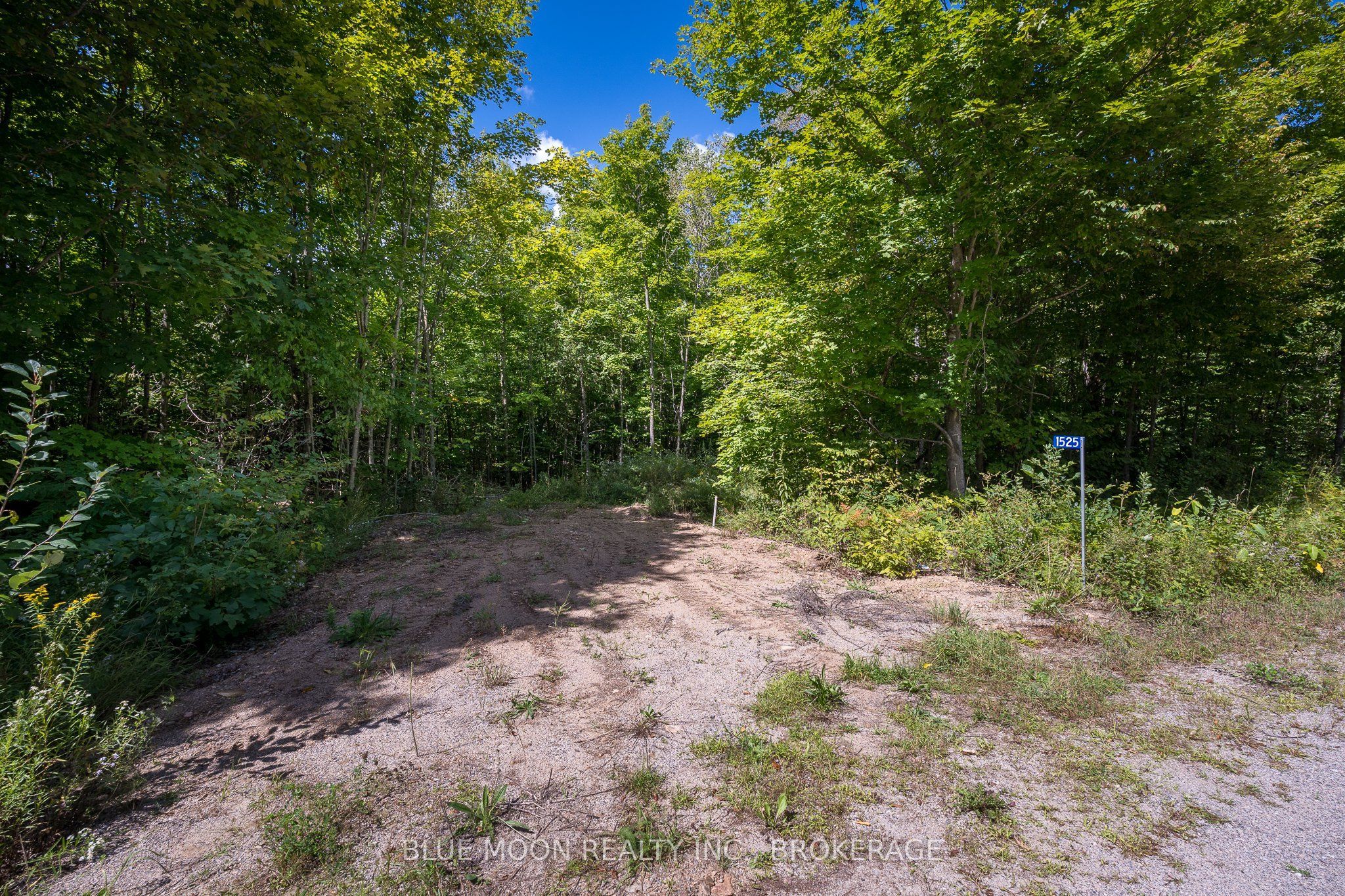 0 Myers Cave Road Property Photo 2