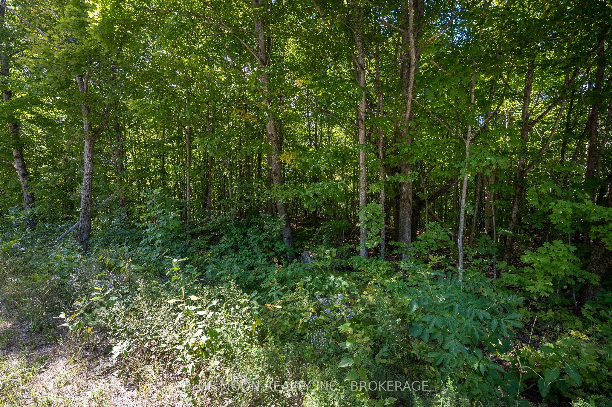 0 Myers Cave Road Property Photo 3