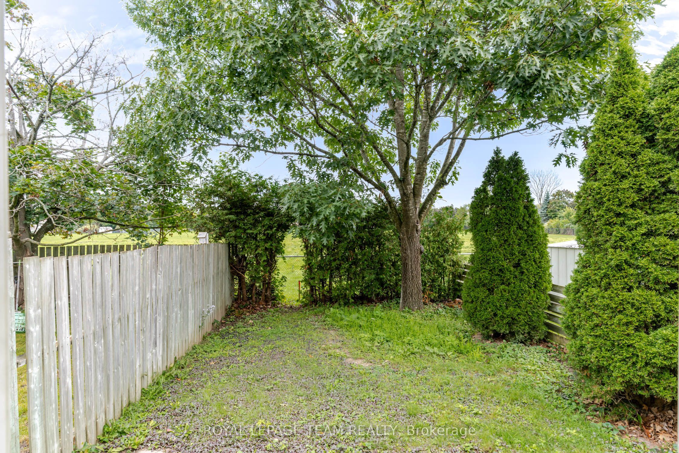 219 Jamieson Street Property Photo 25