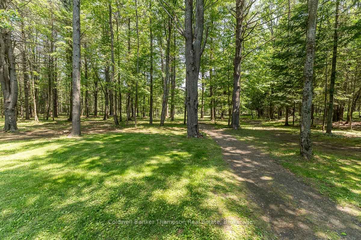109 South Waseosa Lake Road Property Photo 38