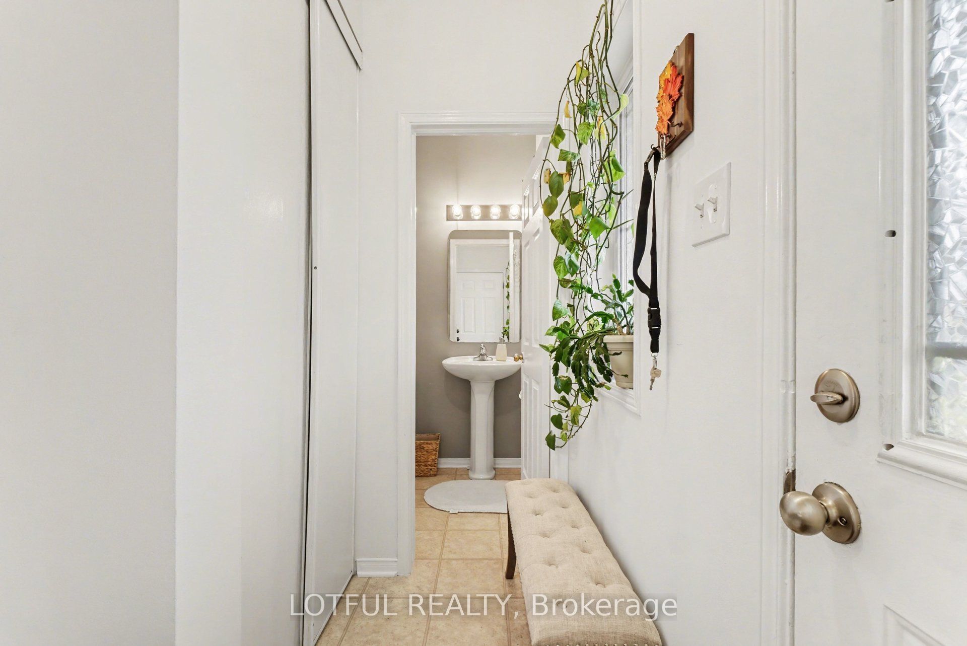 3 Collington Street Property Photo 2