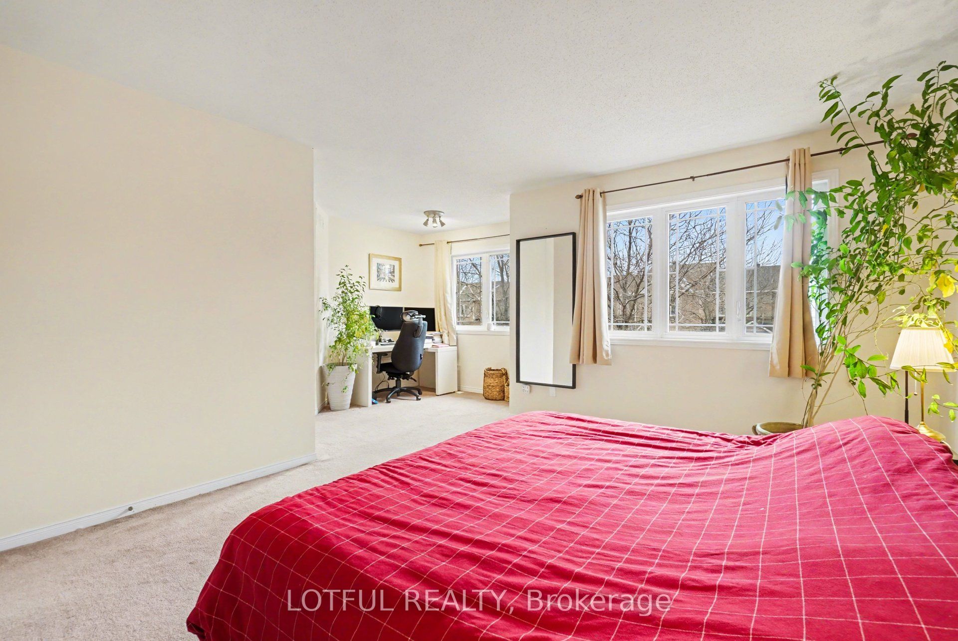 3 Collington Street Property Photo 12