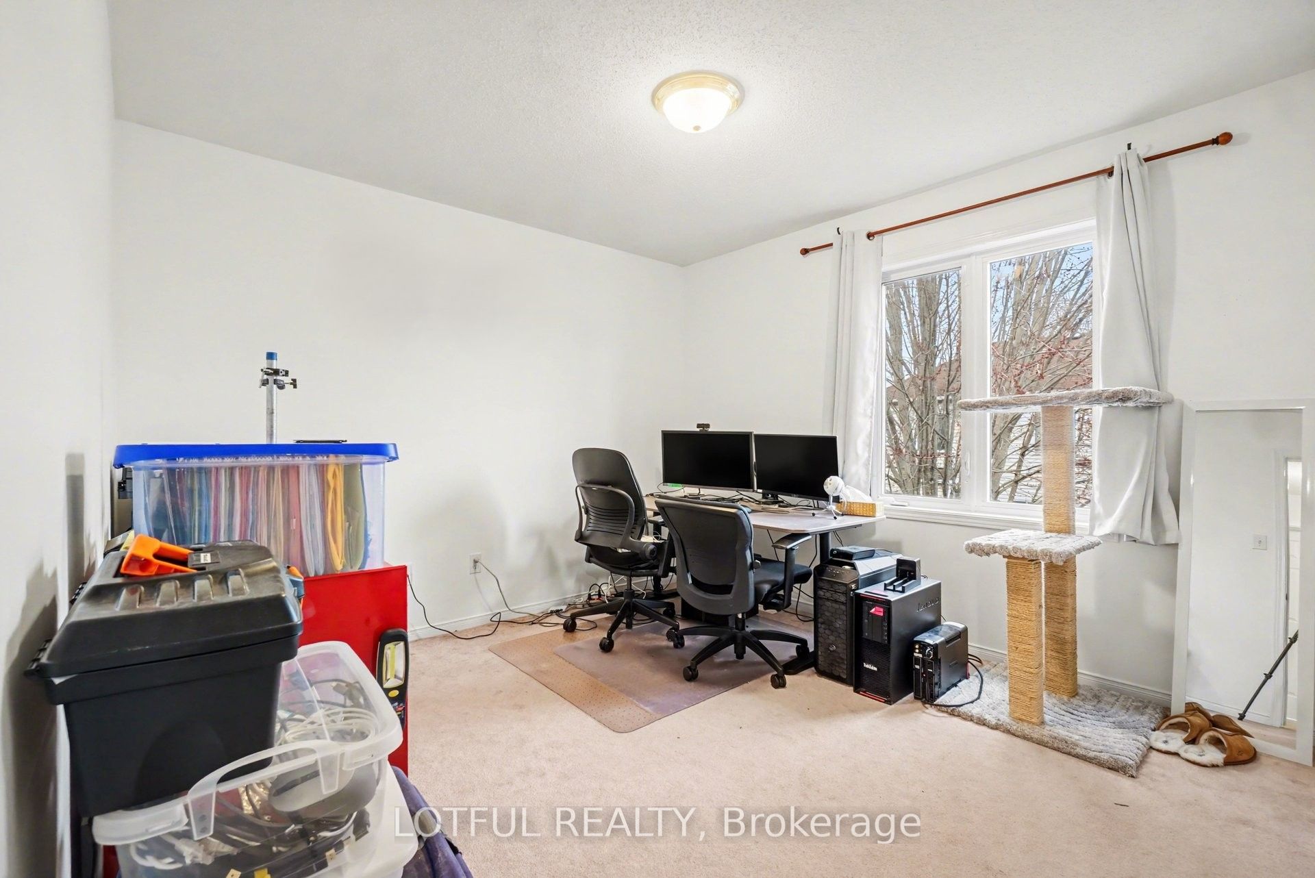 3 Collington Street Property Photo 18