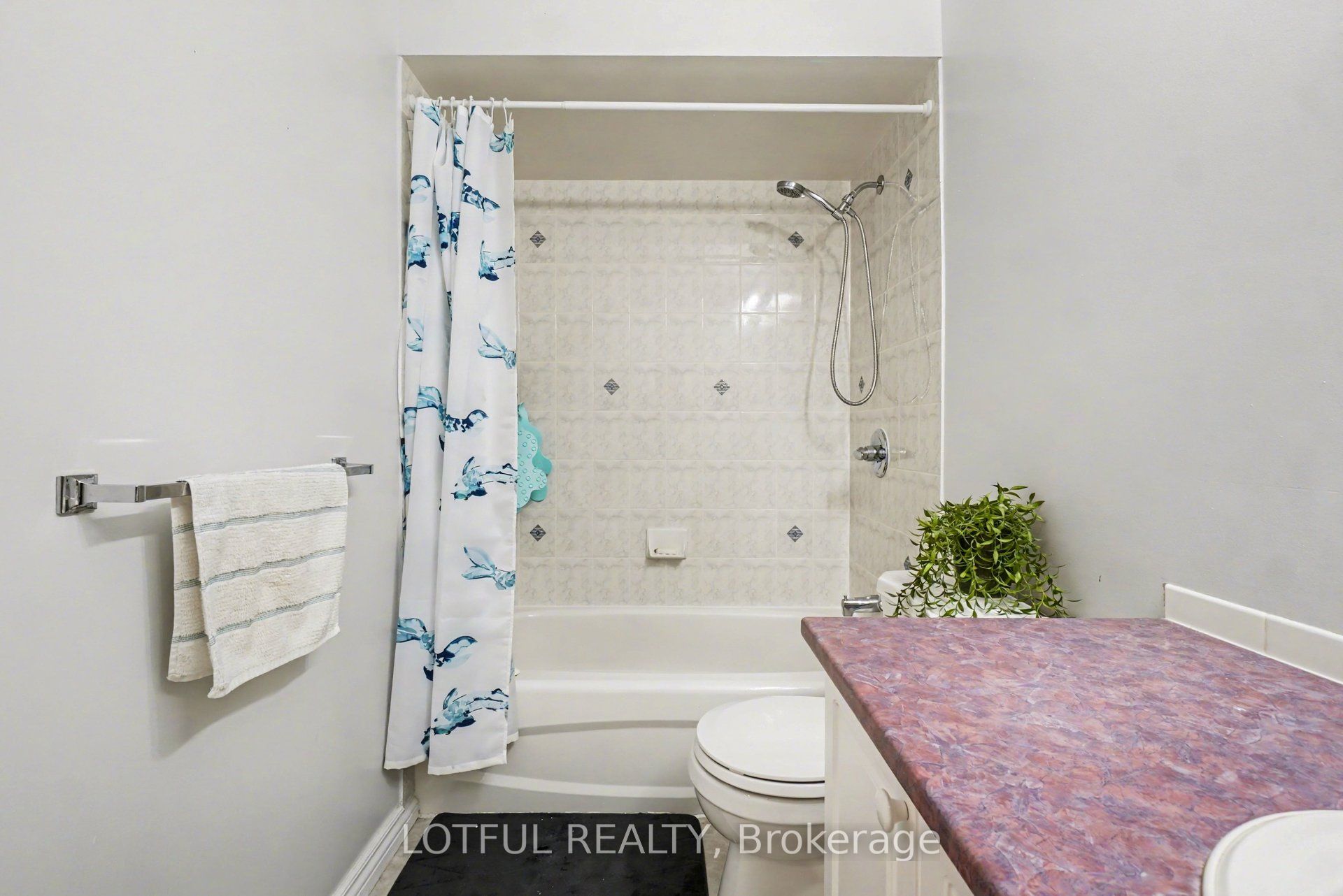 3 Collington Street Property Photo 20