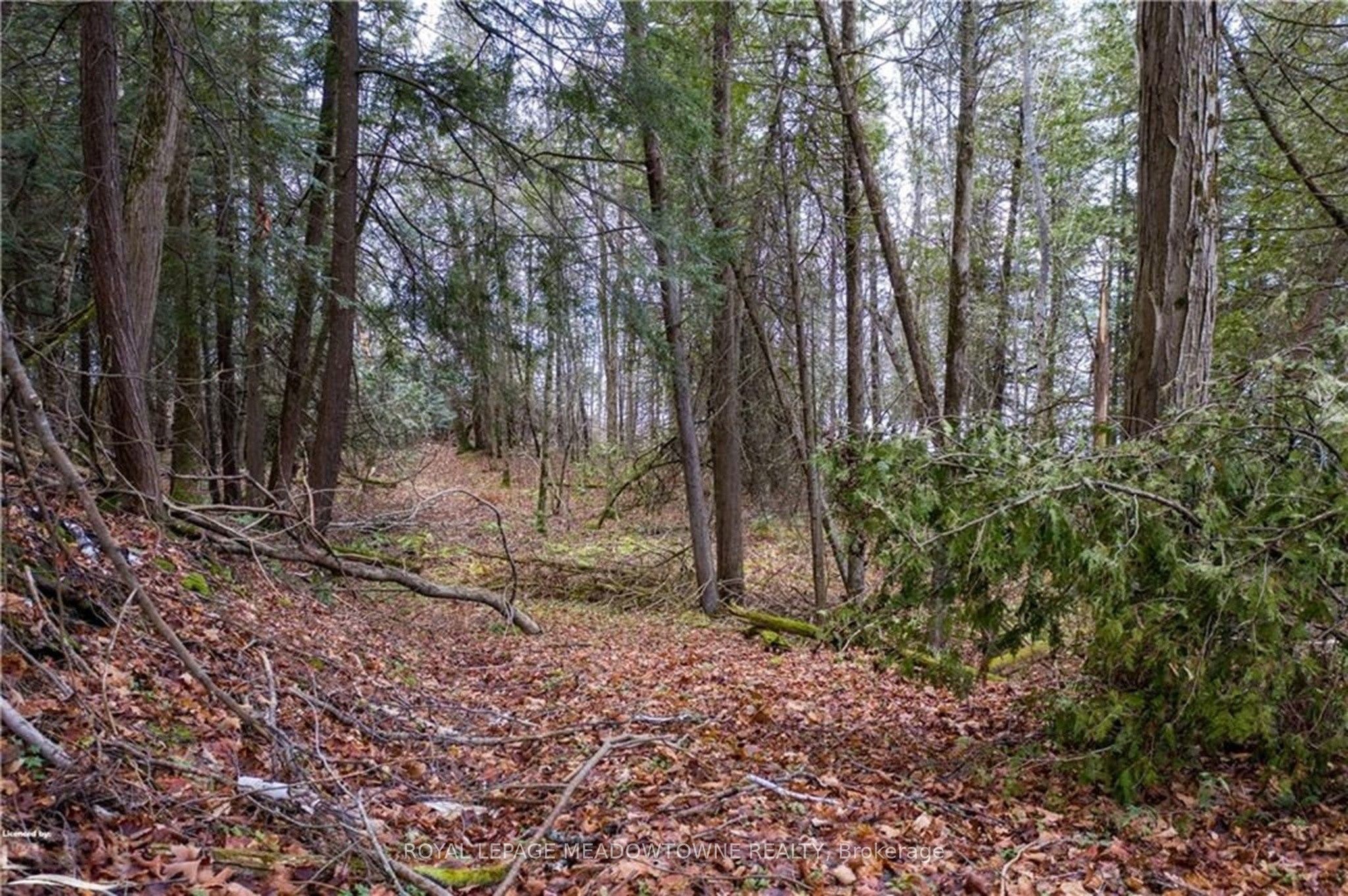 Lot 12 Eagle Ridge Drive Property Photo 5