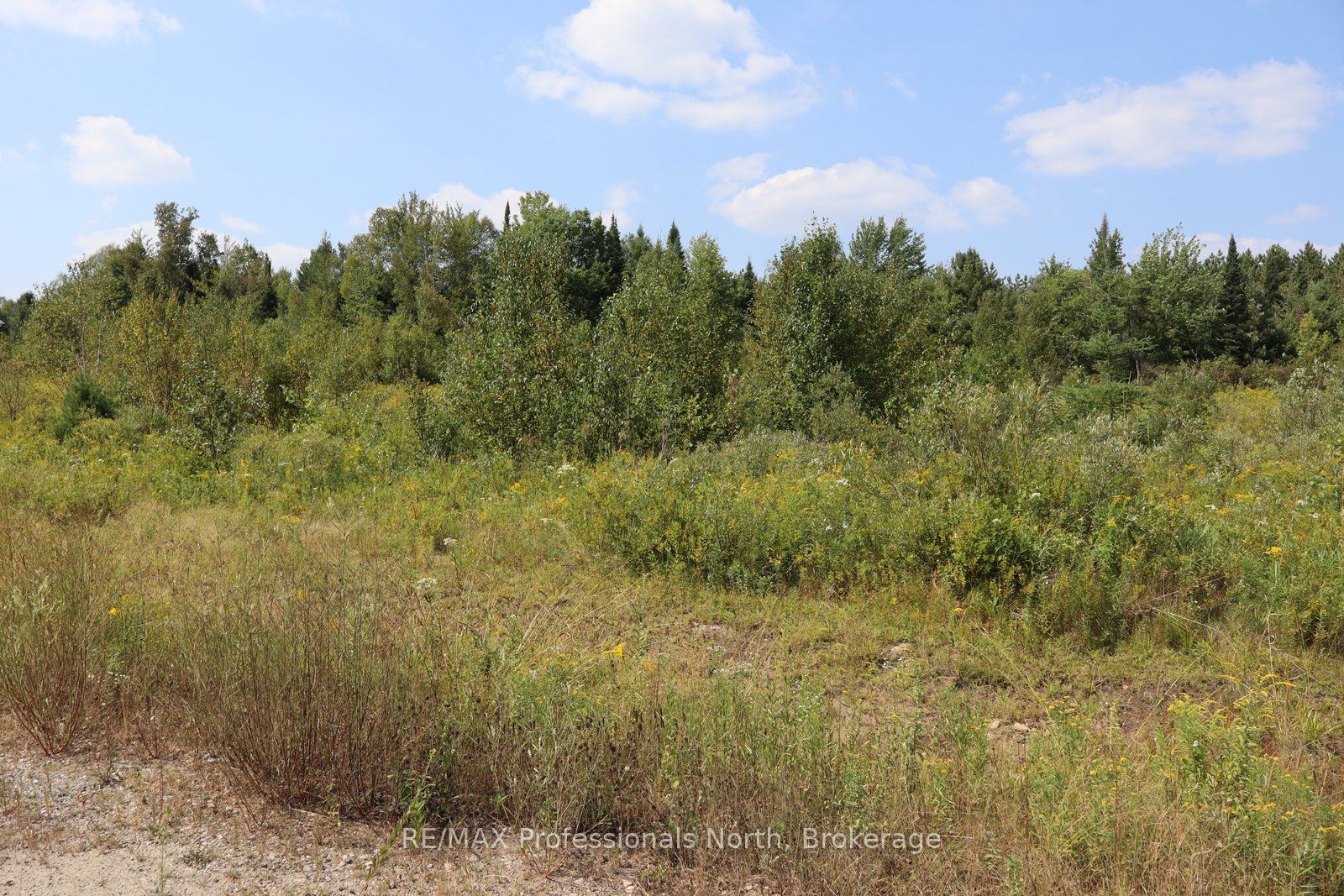 1010 Piper Glen Road Property Photo 1
