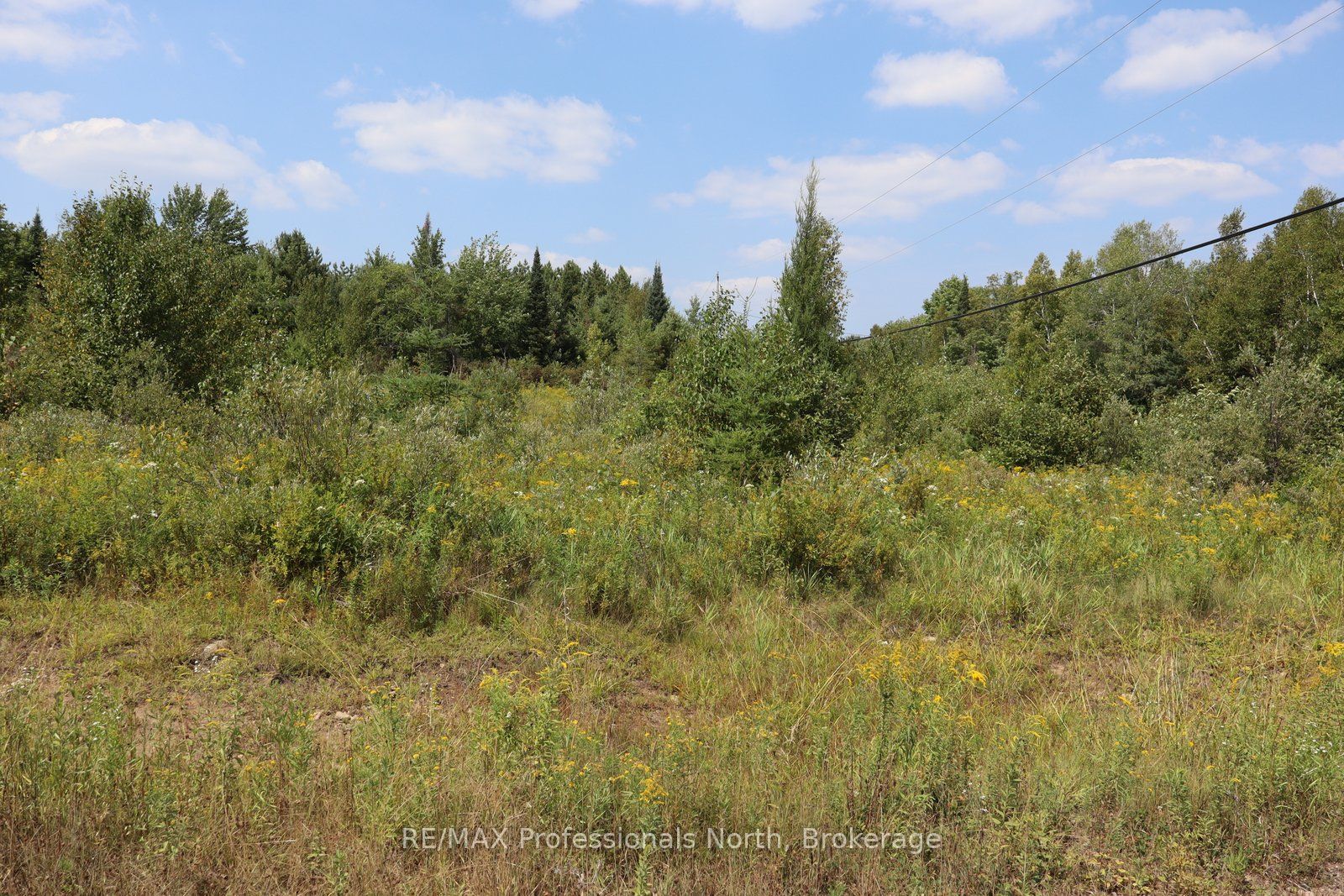 1010 Piper Glen Road Property Photo 2