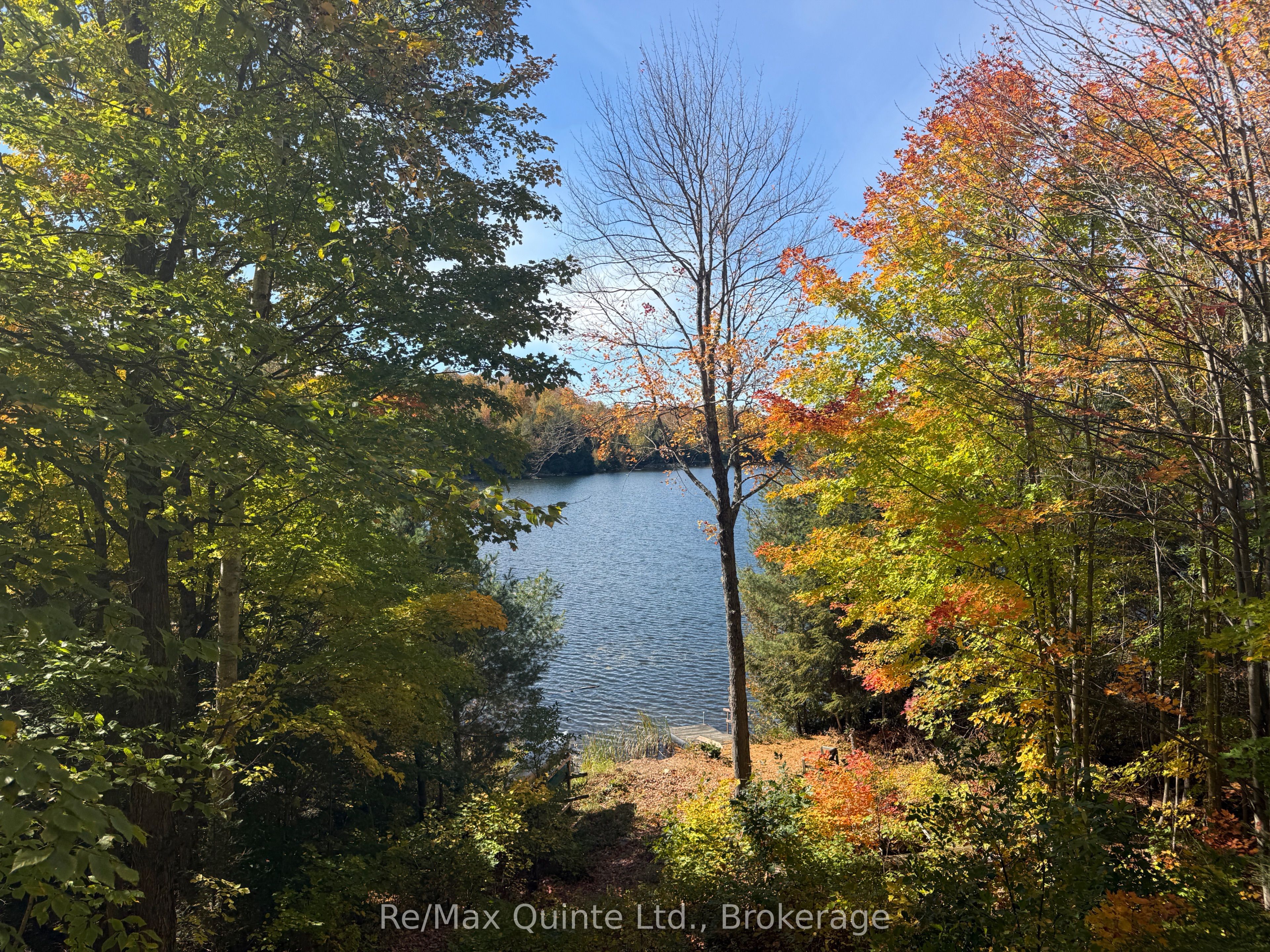 538 Skene Road Property Photo 8