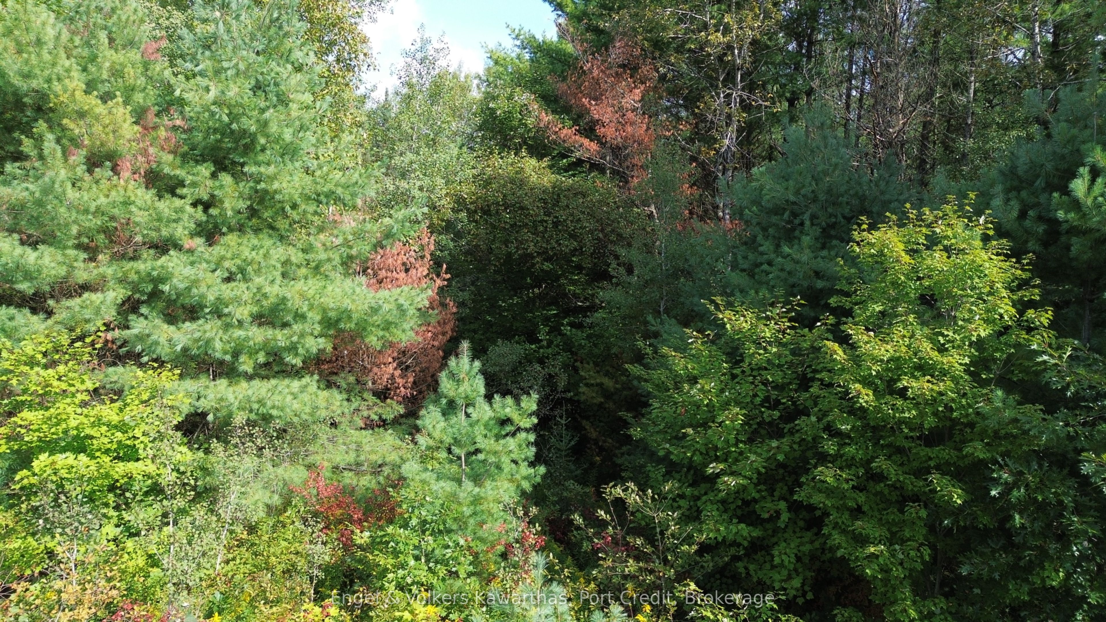 Lot A Trotter Rd Road Property Photo 7