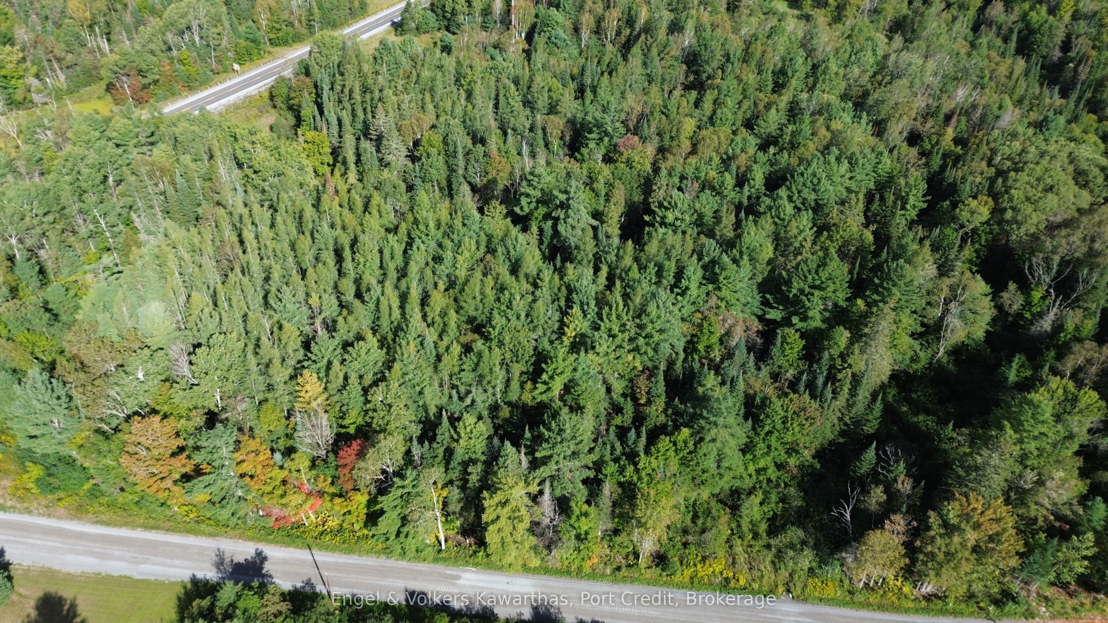 Lot B Trotter Rd Road Property Photo 3