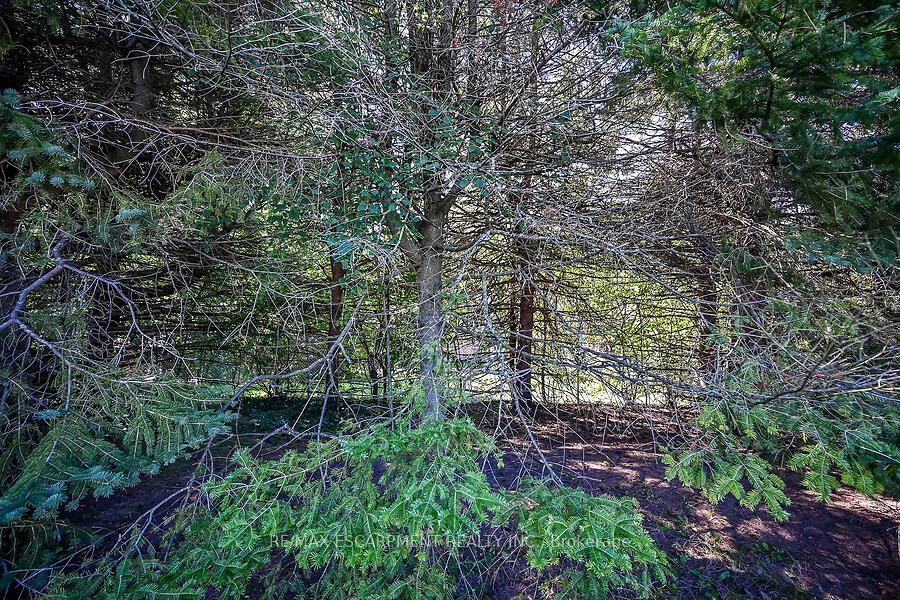 57 Turnbull Road Property Photo 25