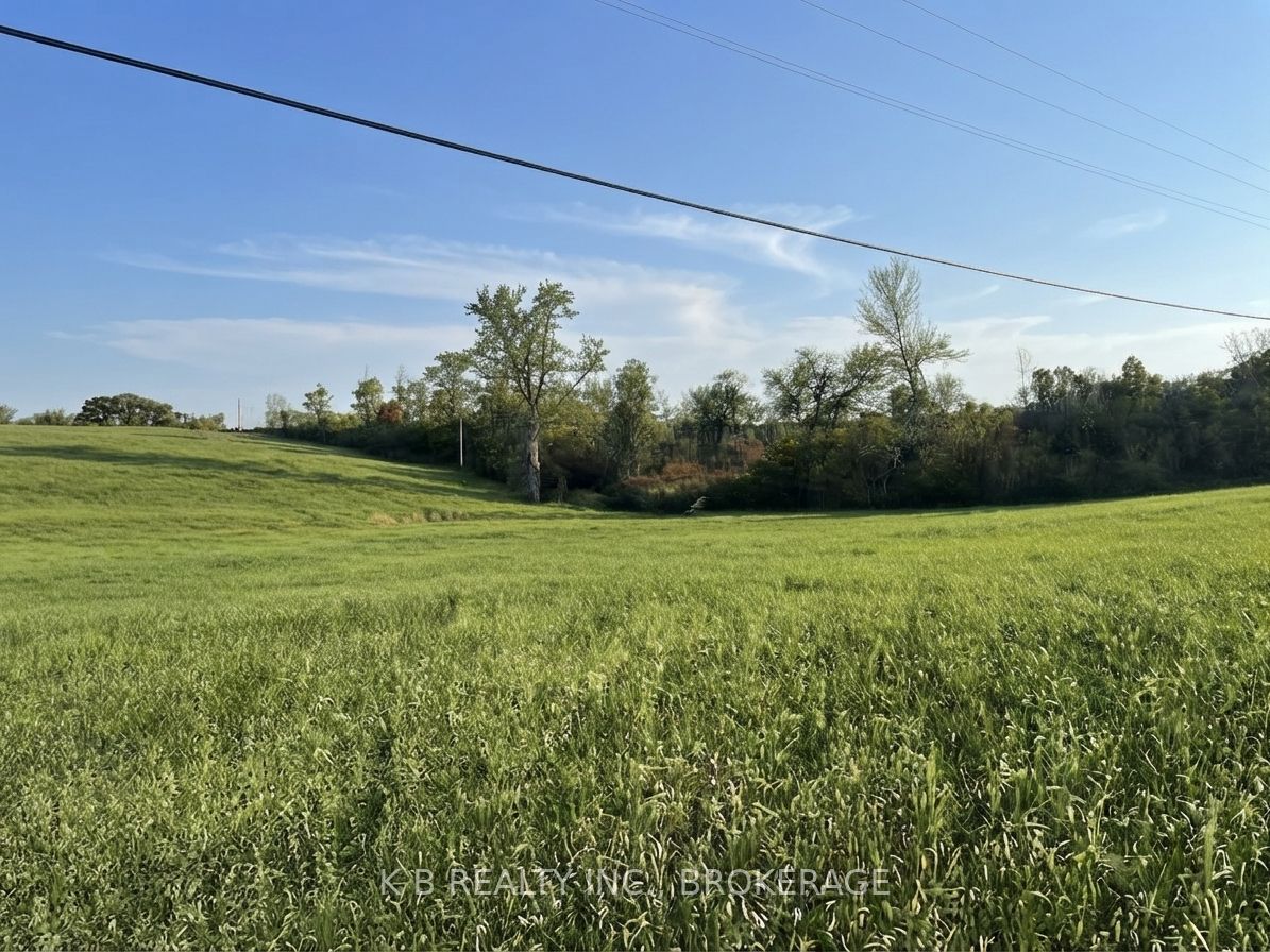 6562 County 4 Road Property Photo 4